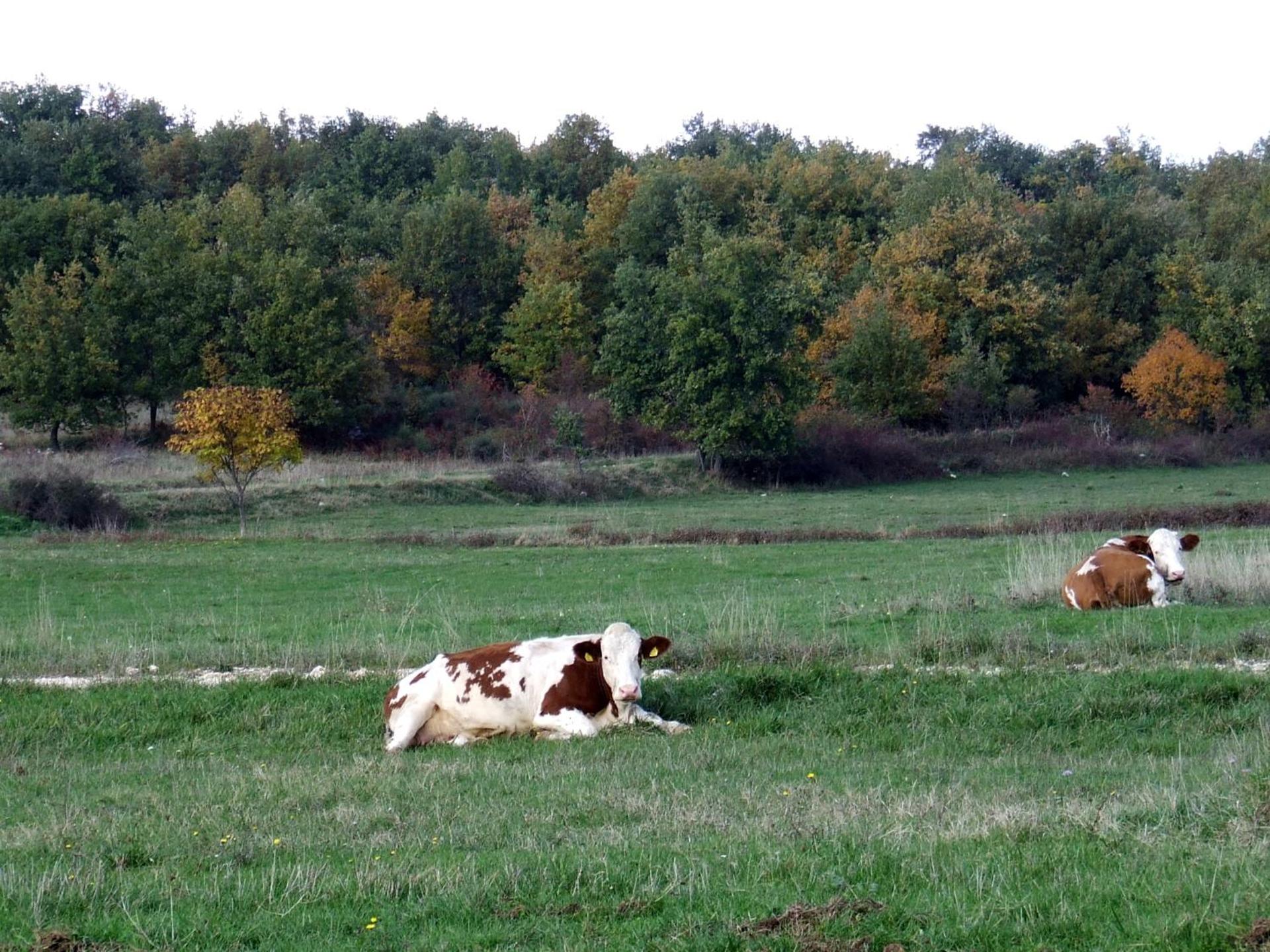 AGRITURISMO Case Catalano - Photo 122