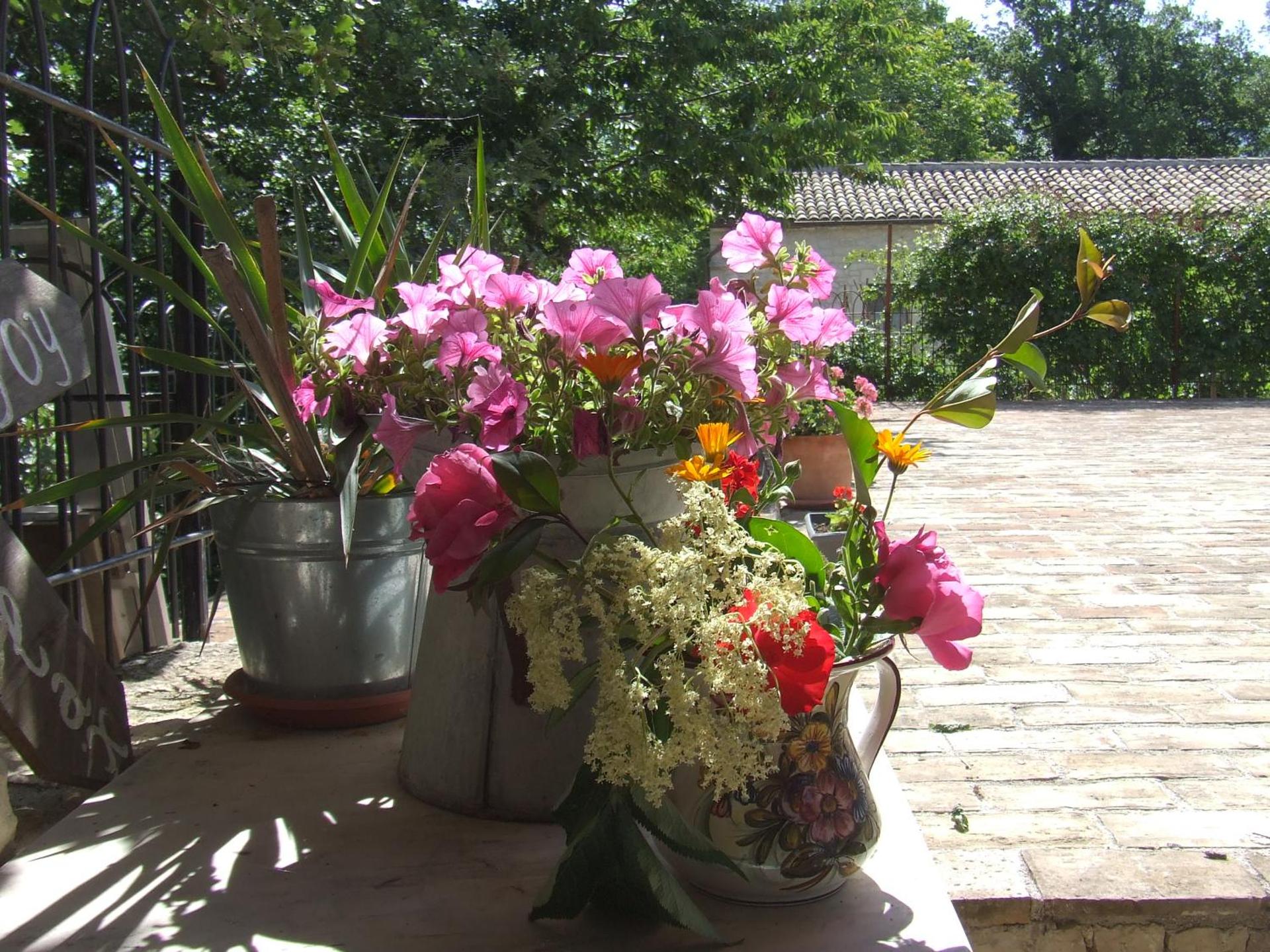 AGRITURISMO Case Catalano - Photo 246