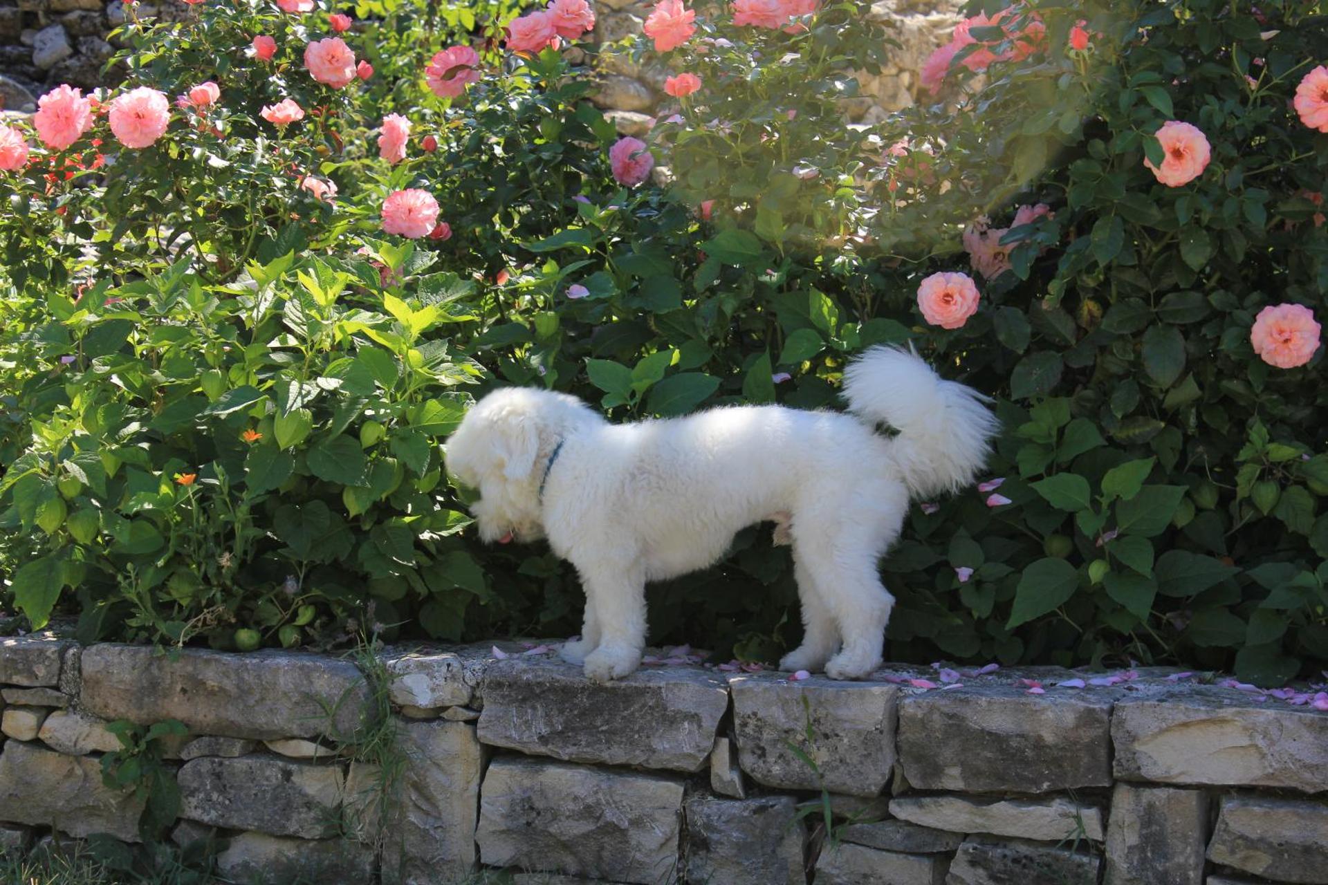 AGRITURISMO Case Catalano - Photo 63
