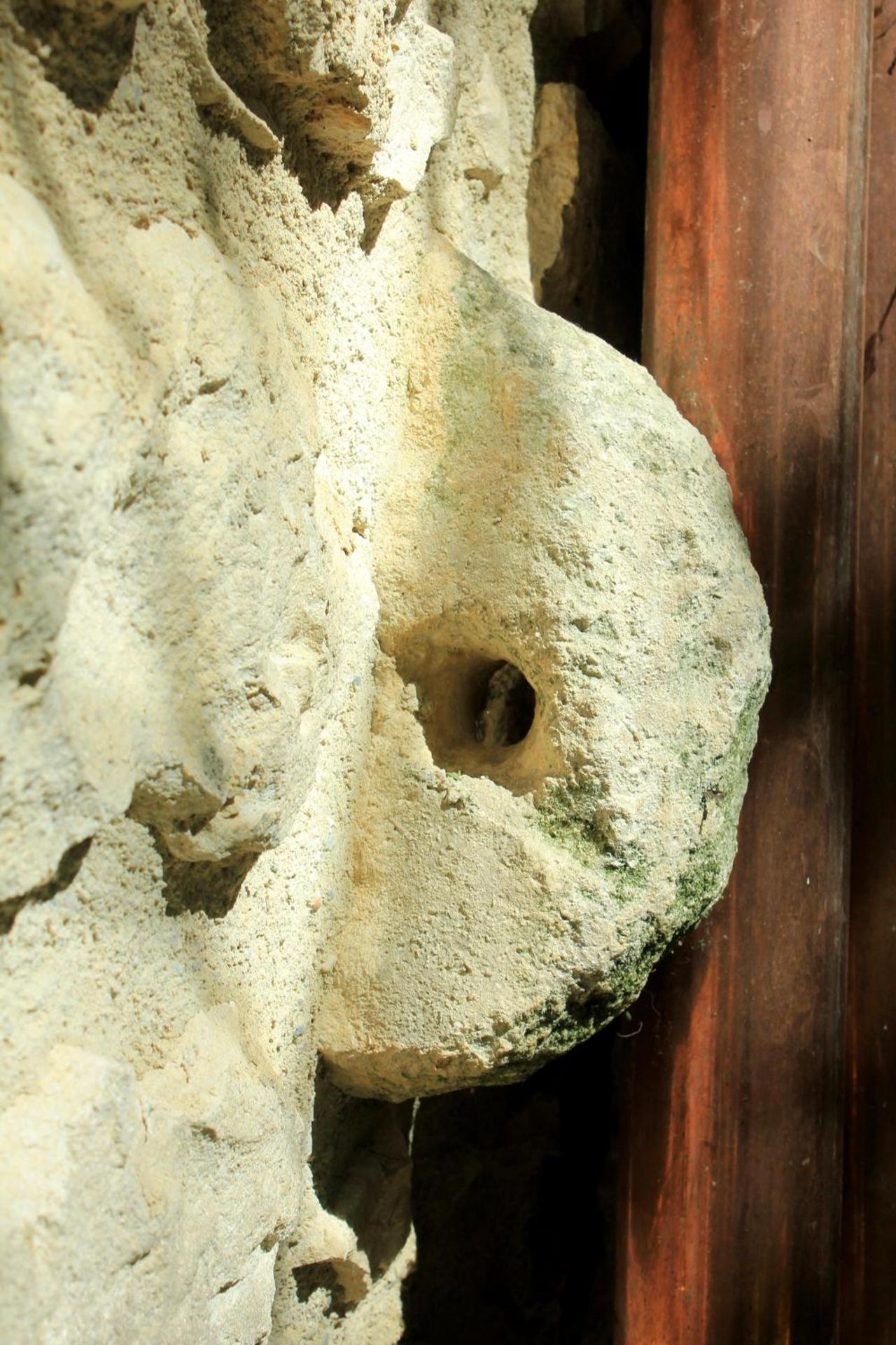 AGRITURISMO Case Catalano - Photo 192