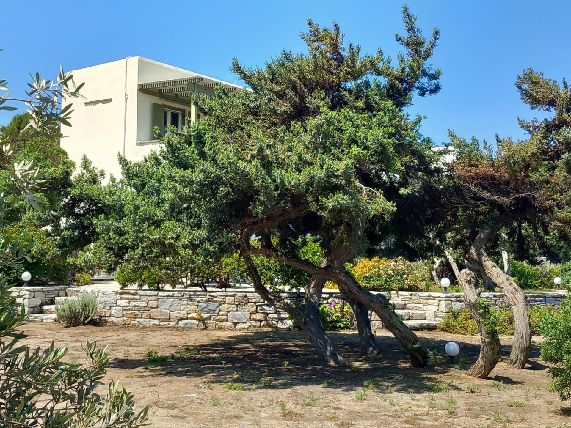 Kedros Villas - Photo 62