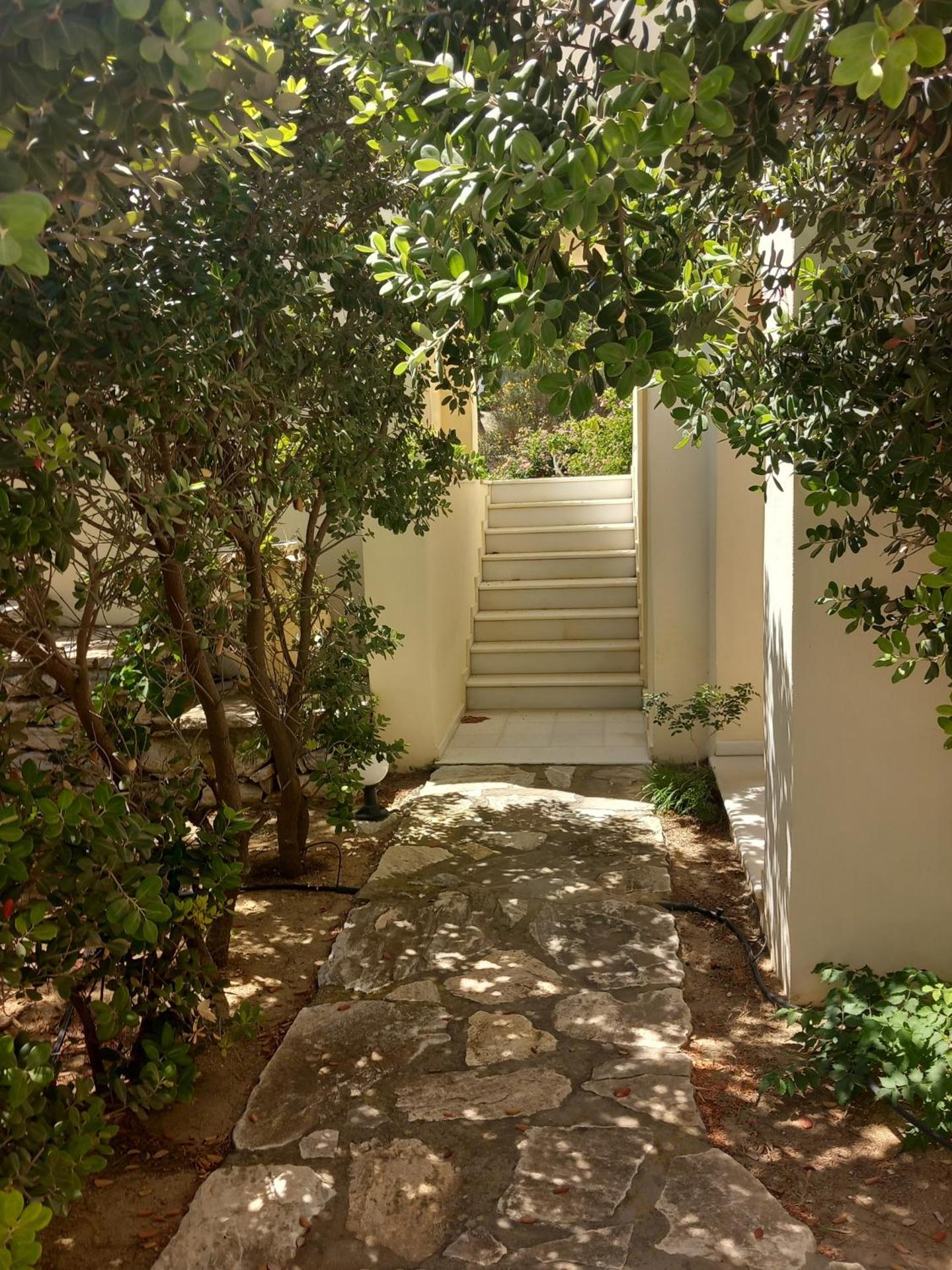 Kedros Villas - Photo 61