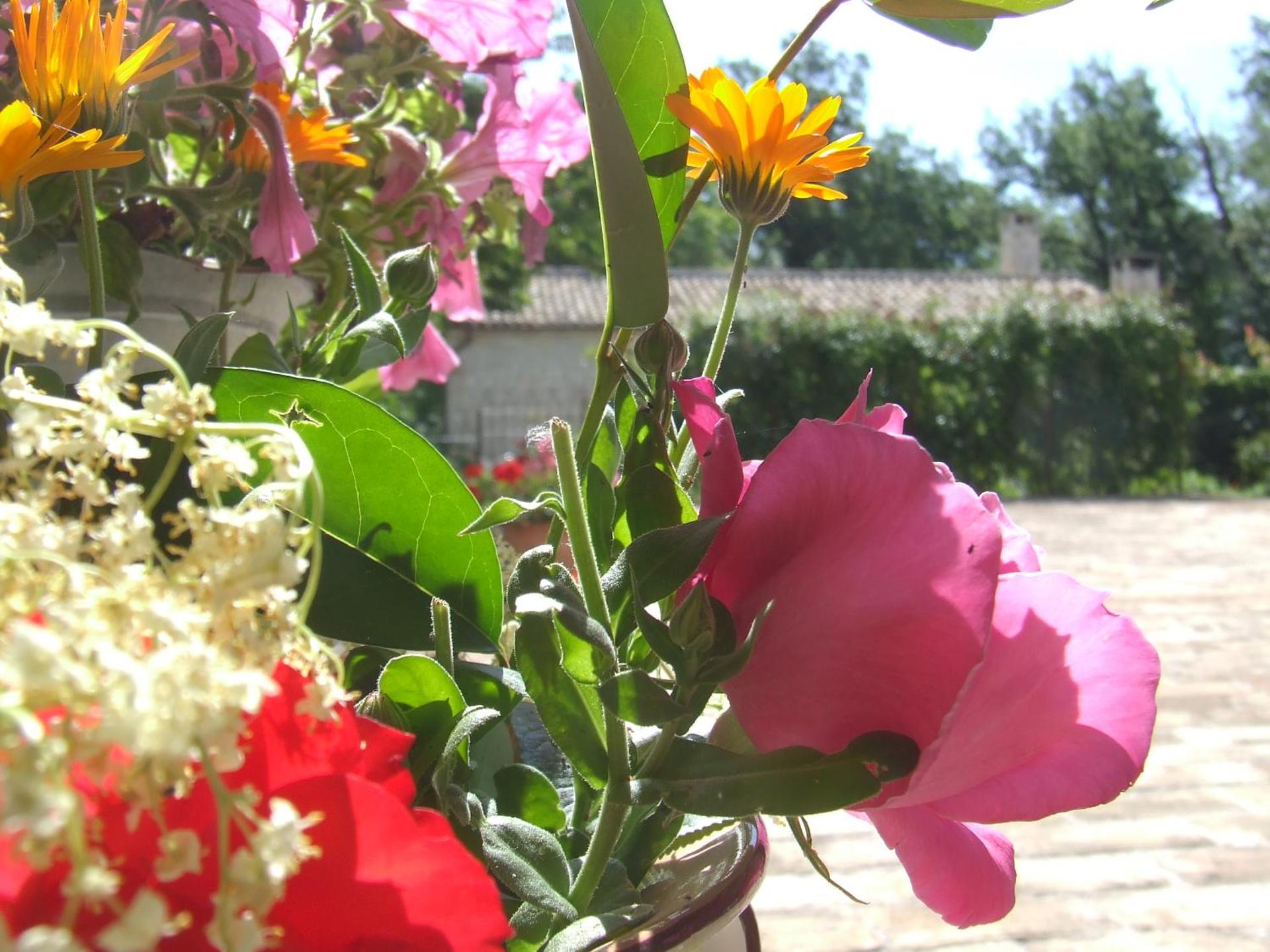 AGRITURISMO Case Catalano - Photo 193