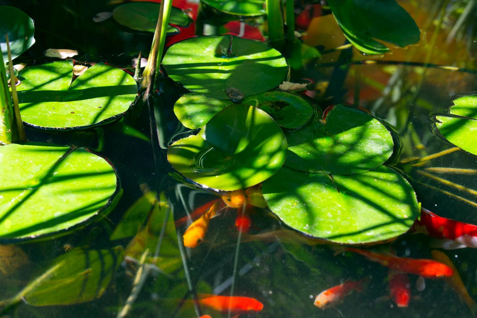 Hotel des Arceaux - Photo 27