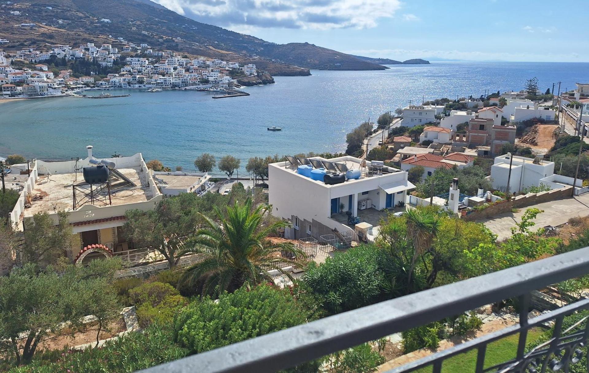 Blue Dolphin - Photo 88