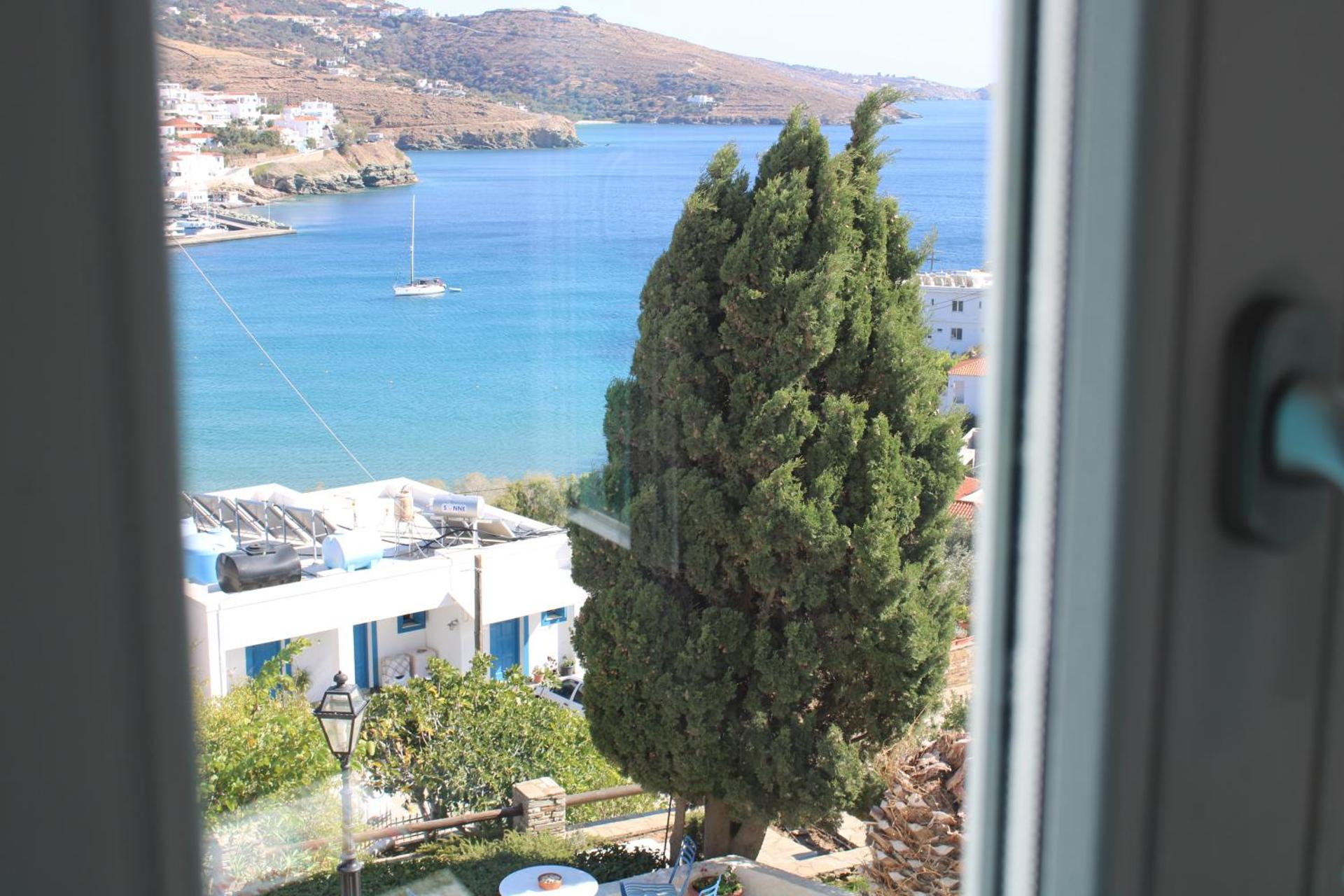 Blue Dolphin - Photo 112