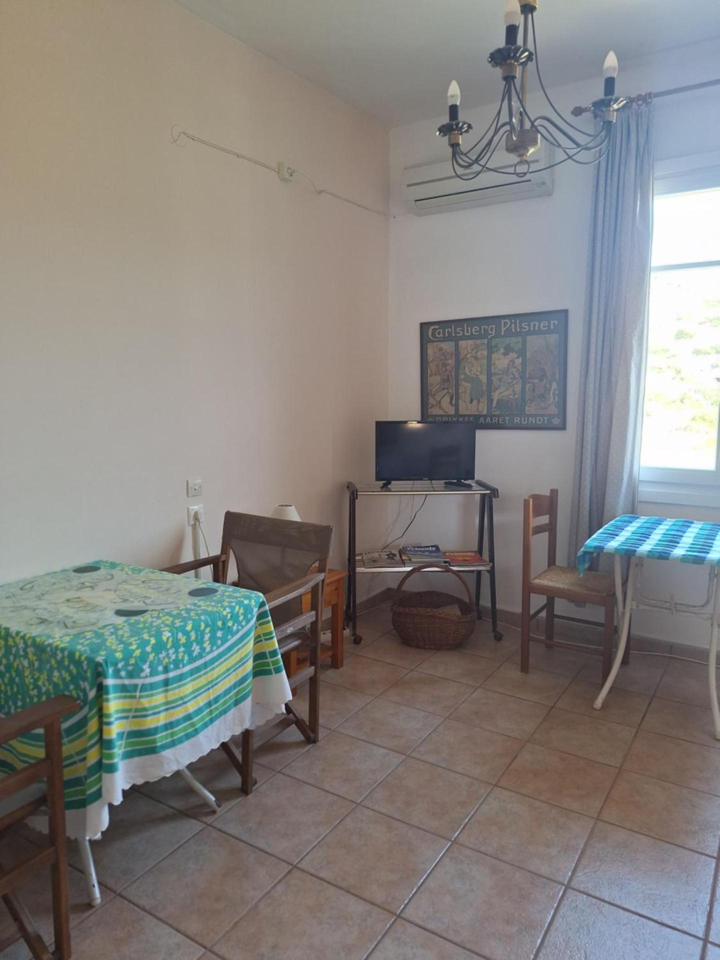 Blue Dolphin - Photo 129