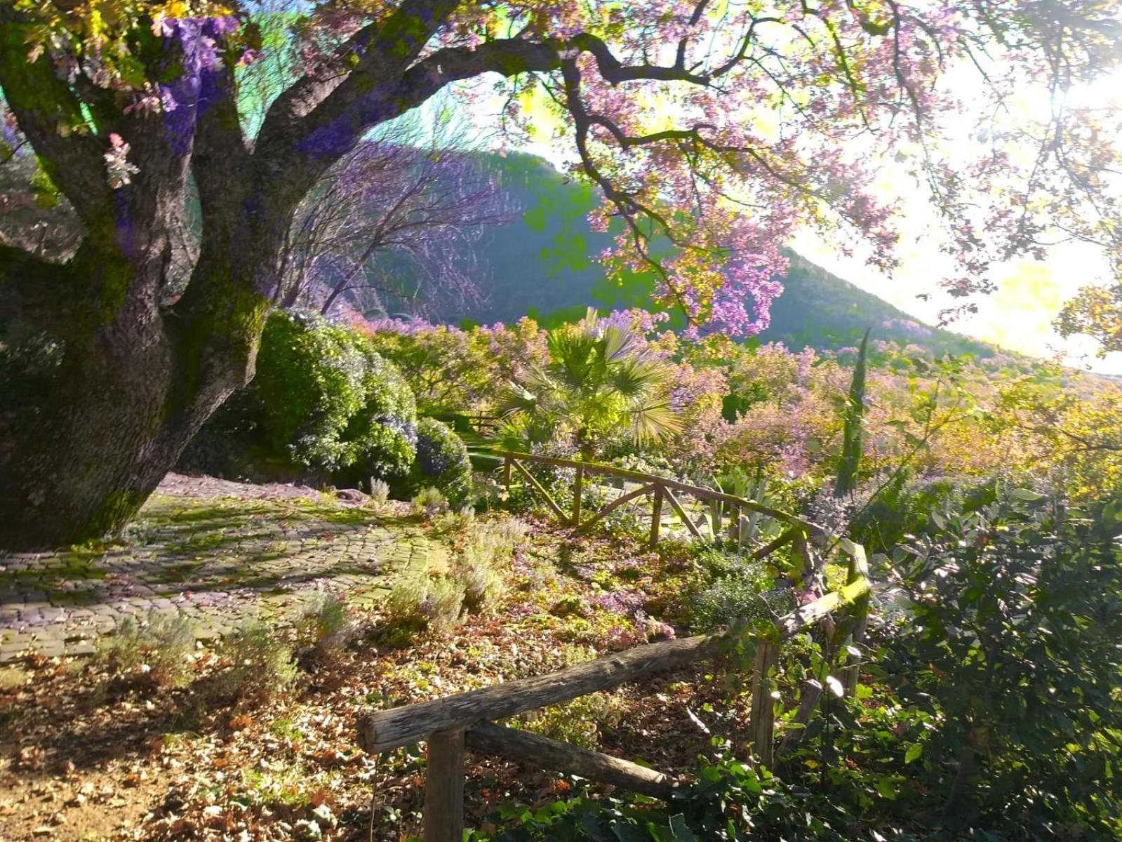 La Chiesuola - Photo 136