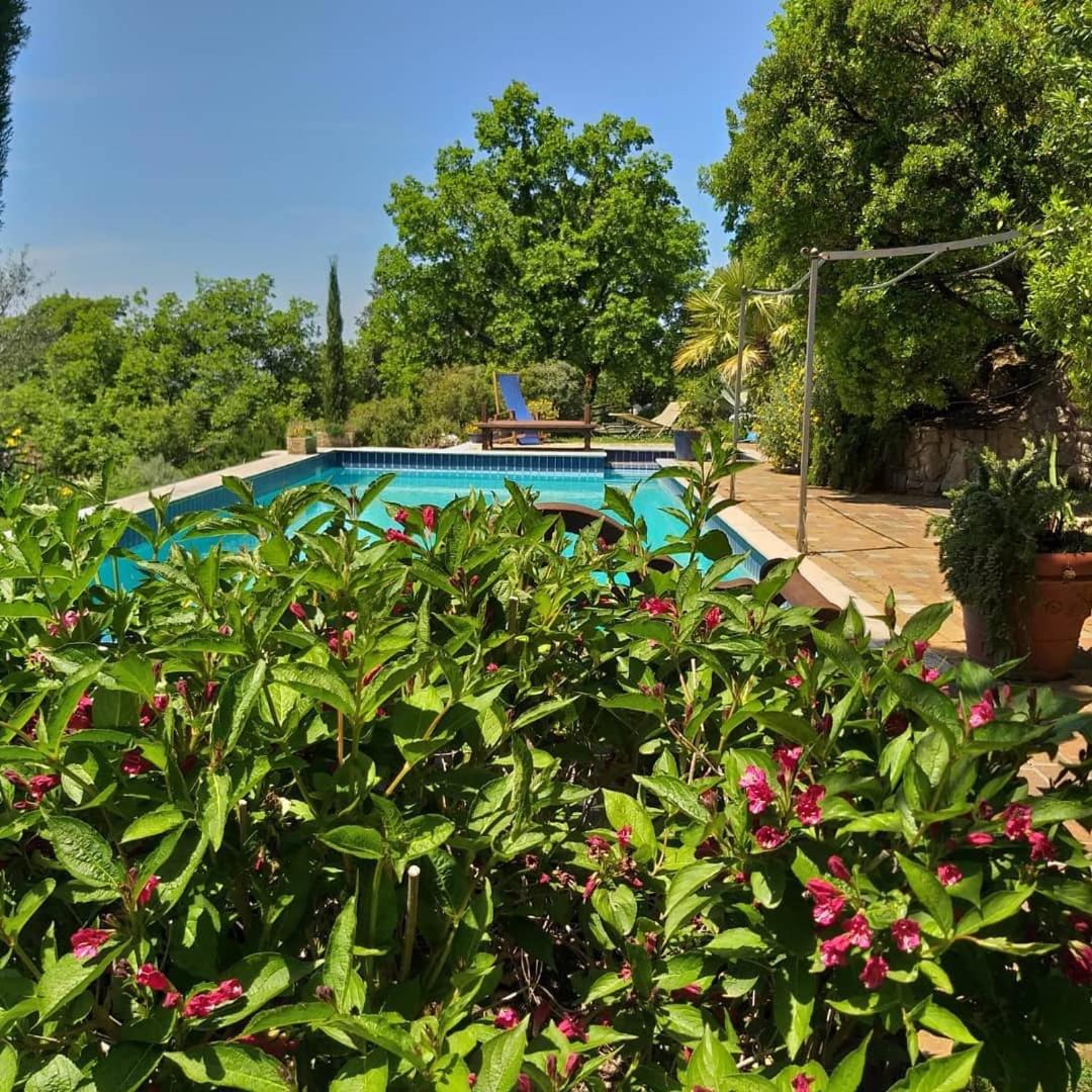 La Chiesuola - Photo 137