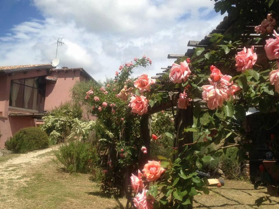 La Chiesuola - Photo 138