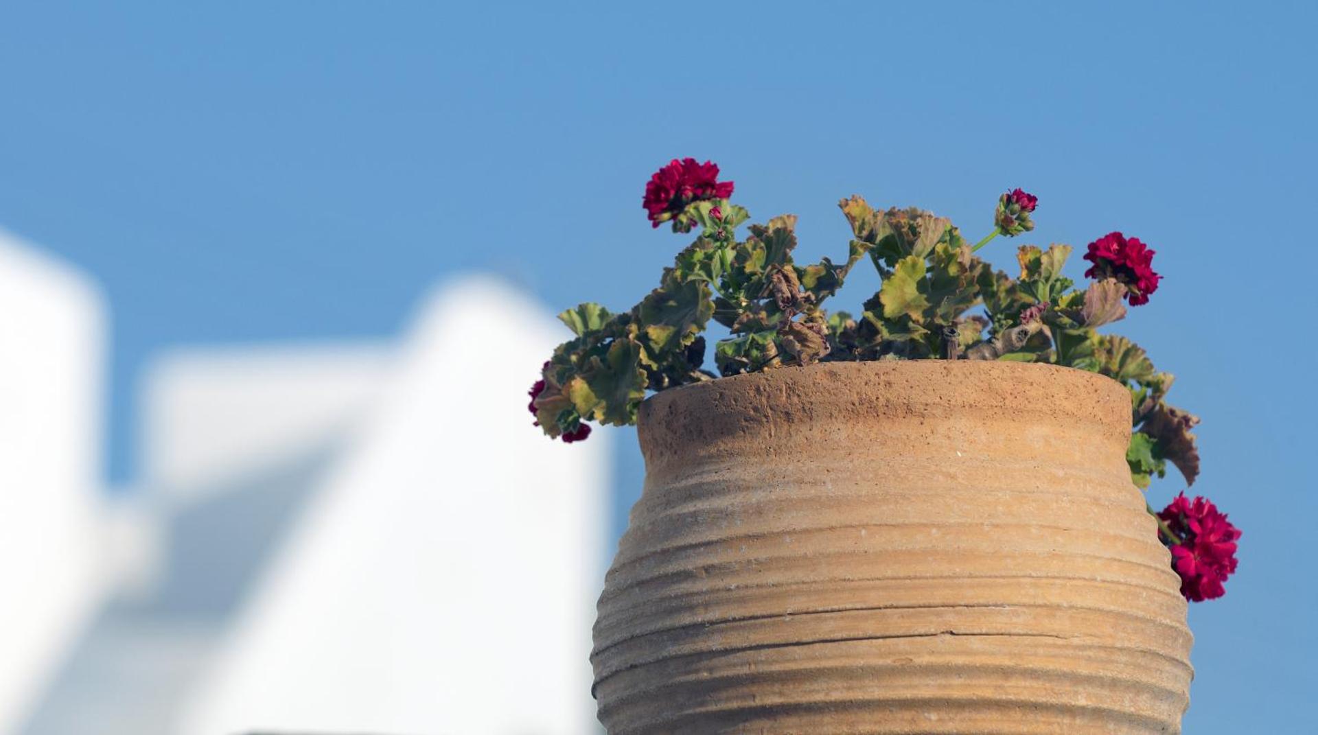 Mykonos View Hotel - Photo 10