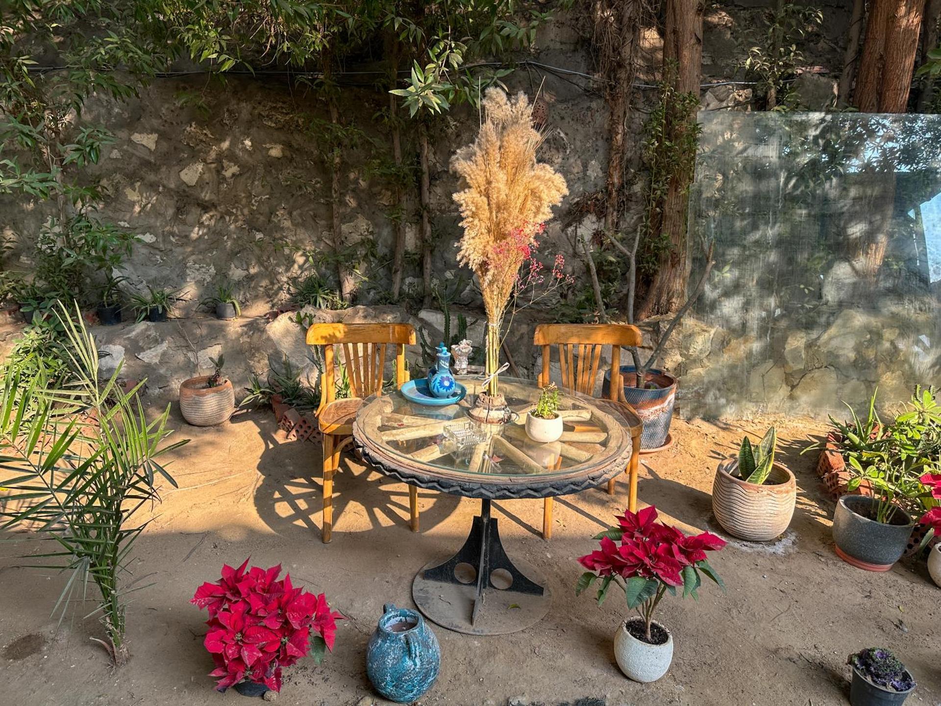 Houseboat65 - Historic home on the Nile - Central Cairo - Photo 84