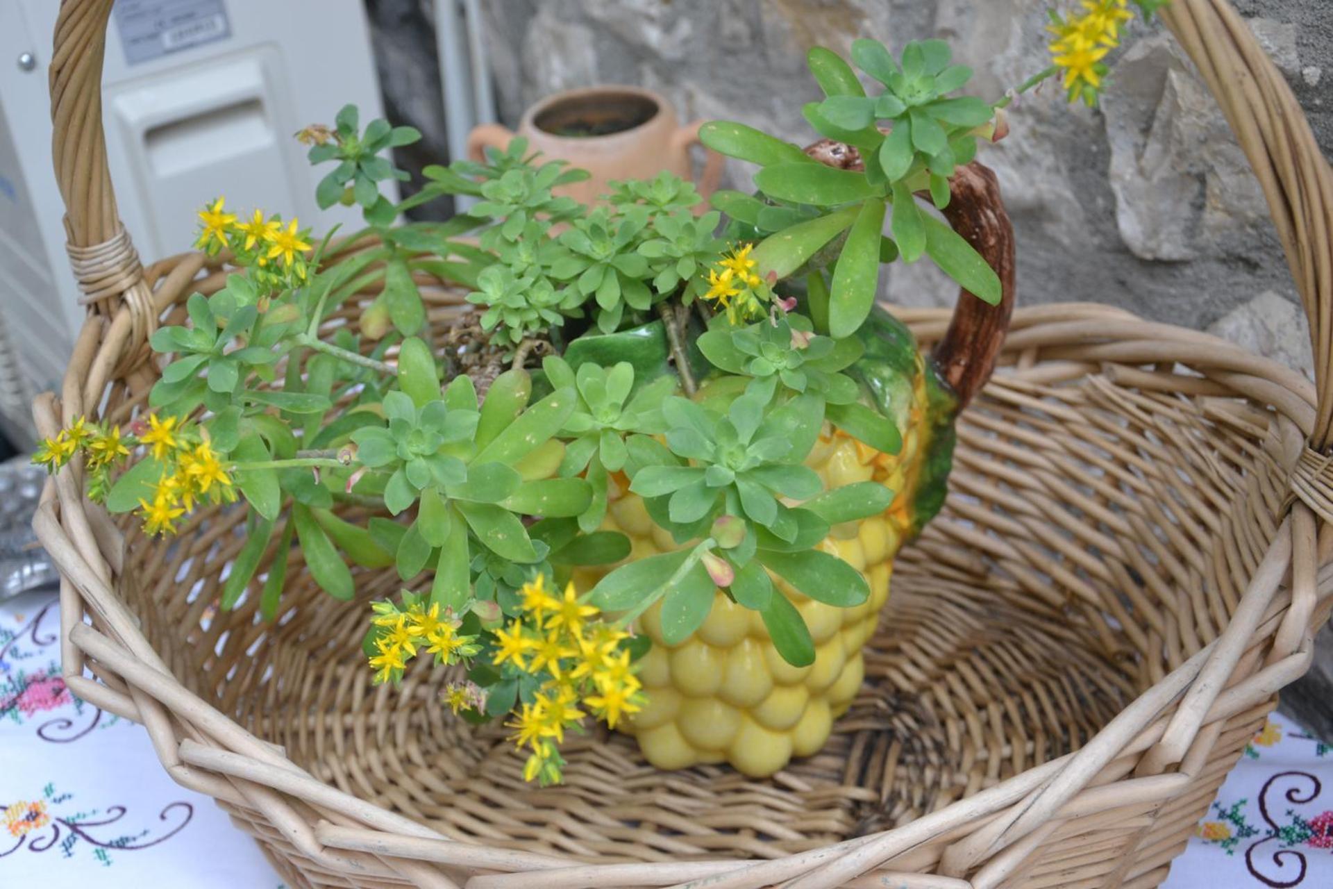 Bujtina Kodiket Guesthouse - Photo 20