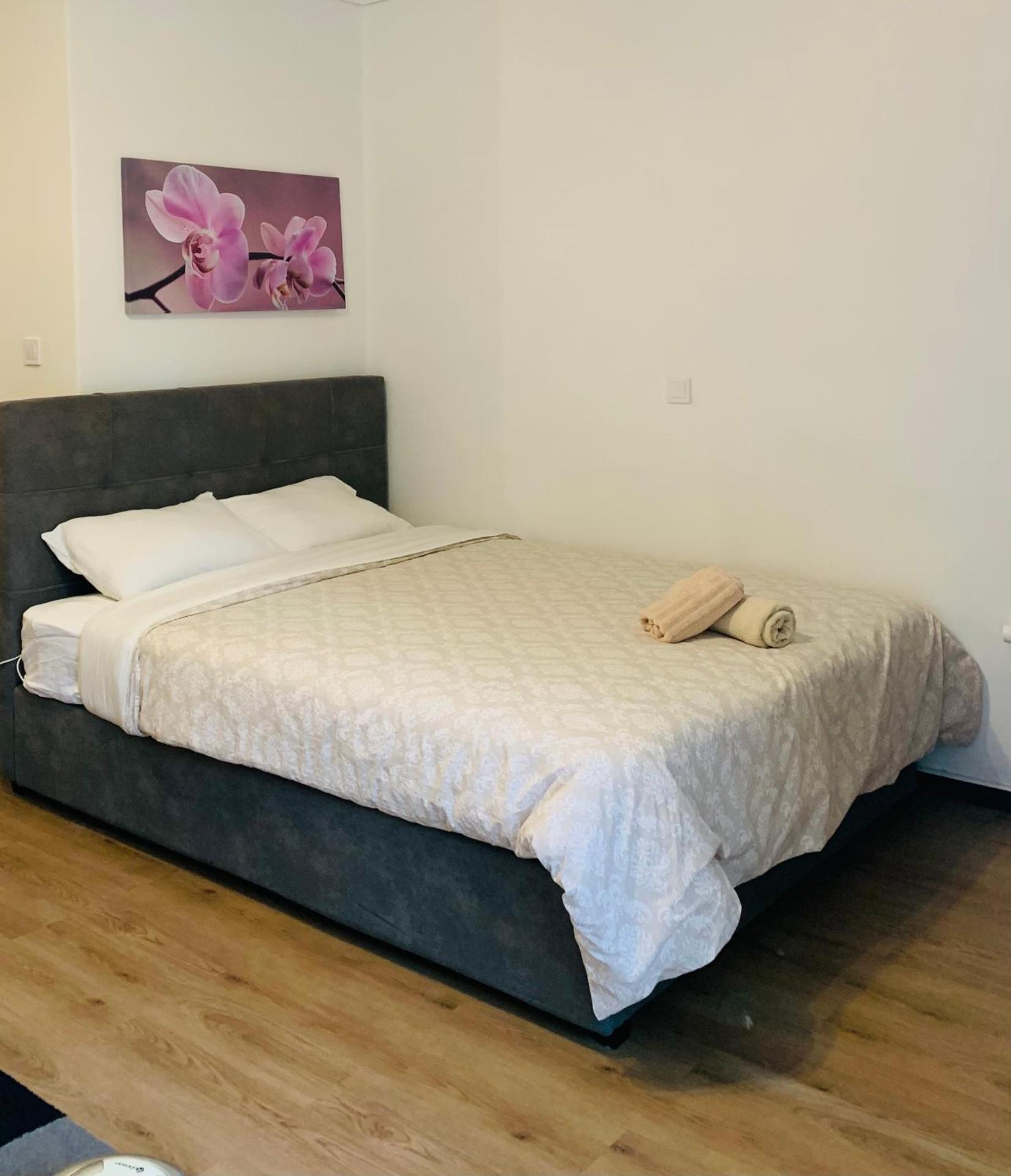 Alex Comfort Room - Photo 7