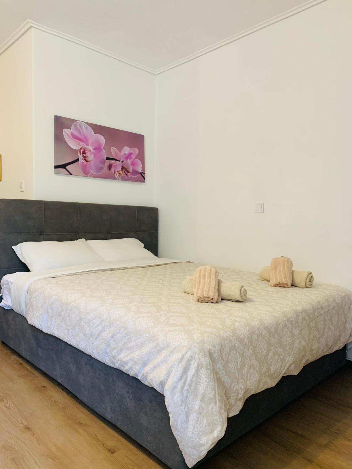 Alex Comfort Room - Photo 2