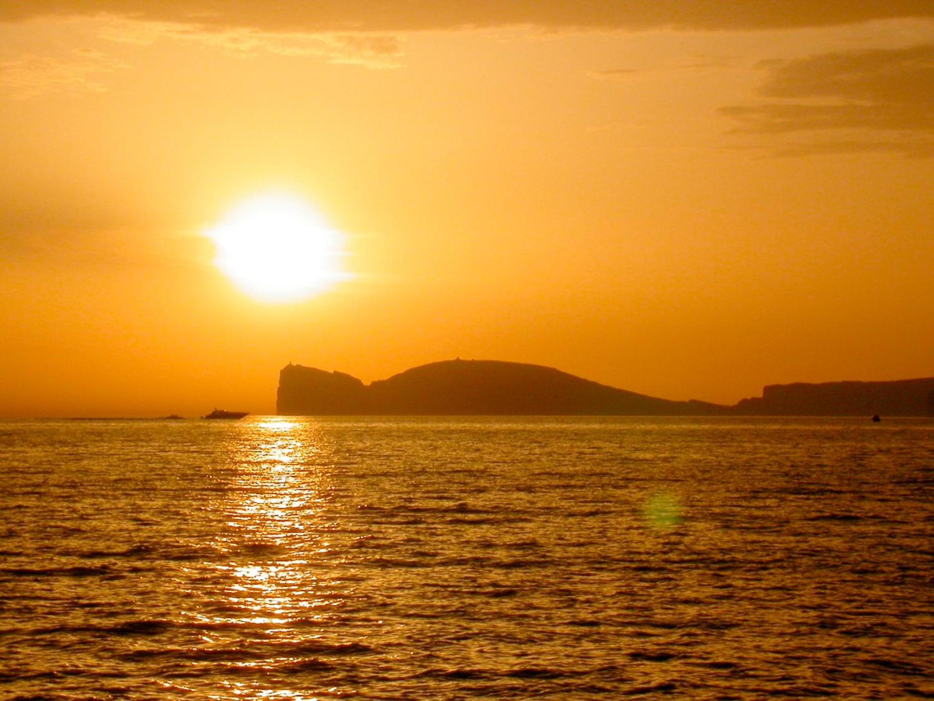 Residence Eucalipti - Photo 15