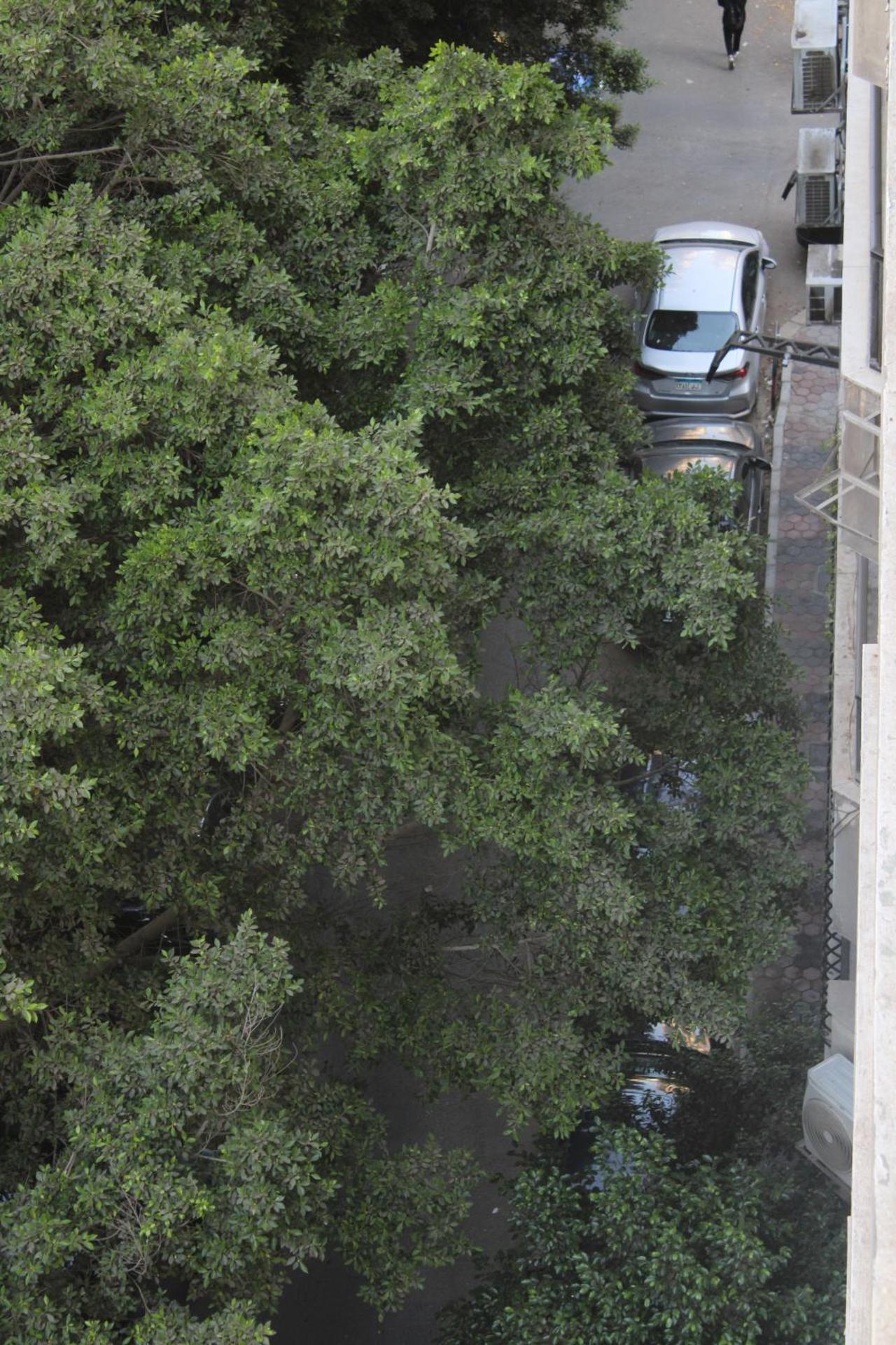 Pharaohs Hotel - Photo 73