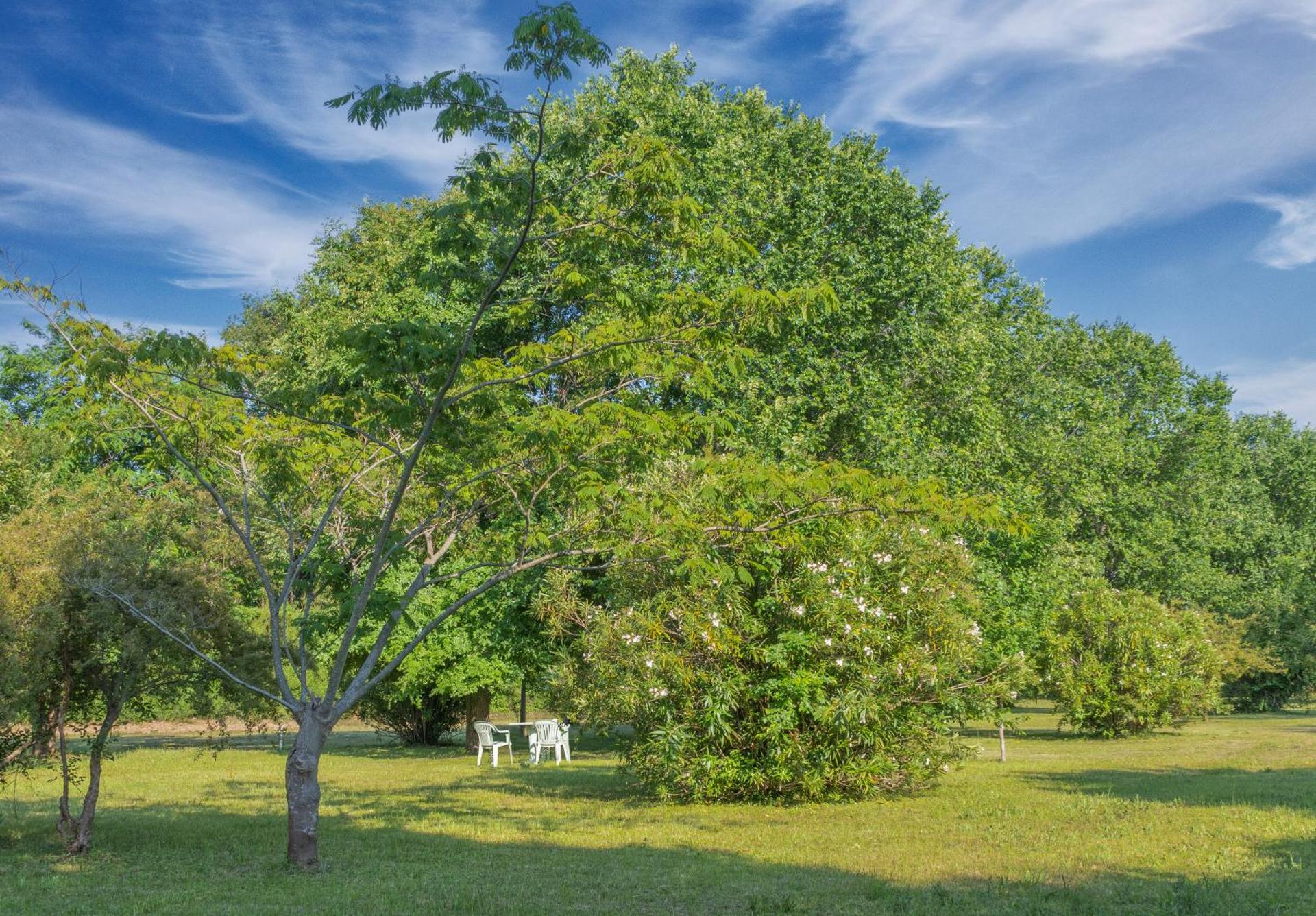 B&B Da Pio - Photo 136