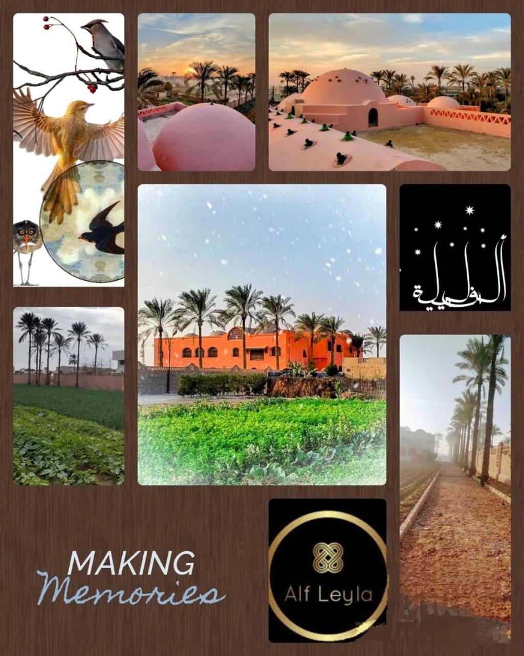 Alf Layla Resort - Photo 48