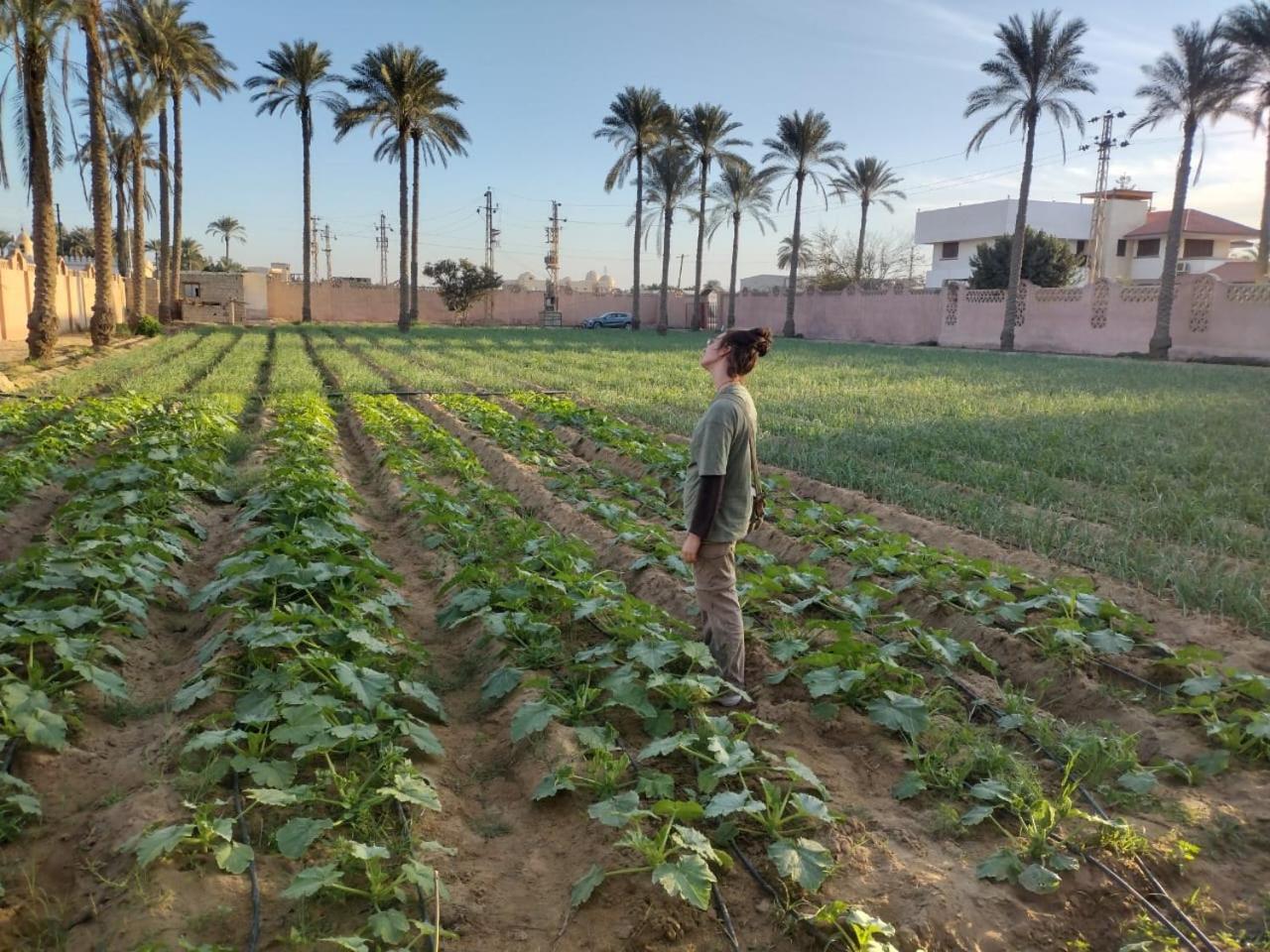 Alf Layla Resort - Photo 21