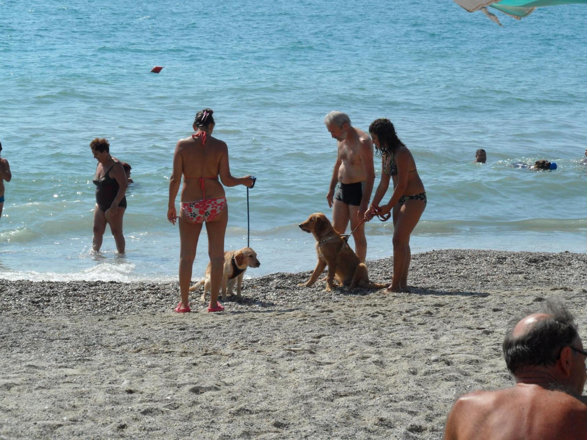 Residence Villa Alda - Photo 172