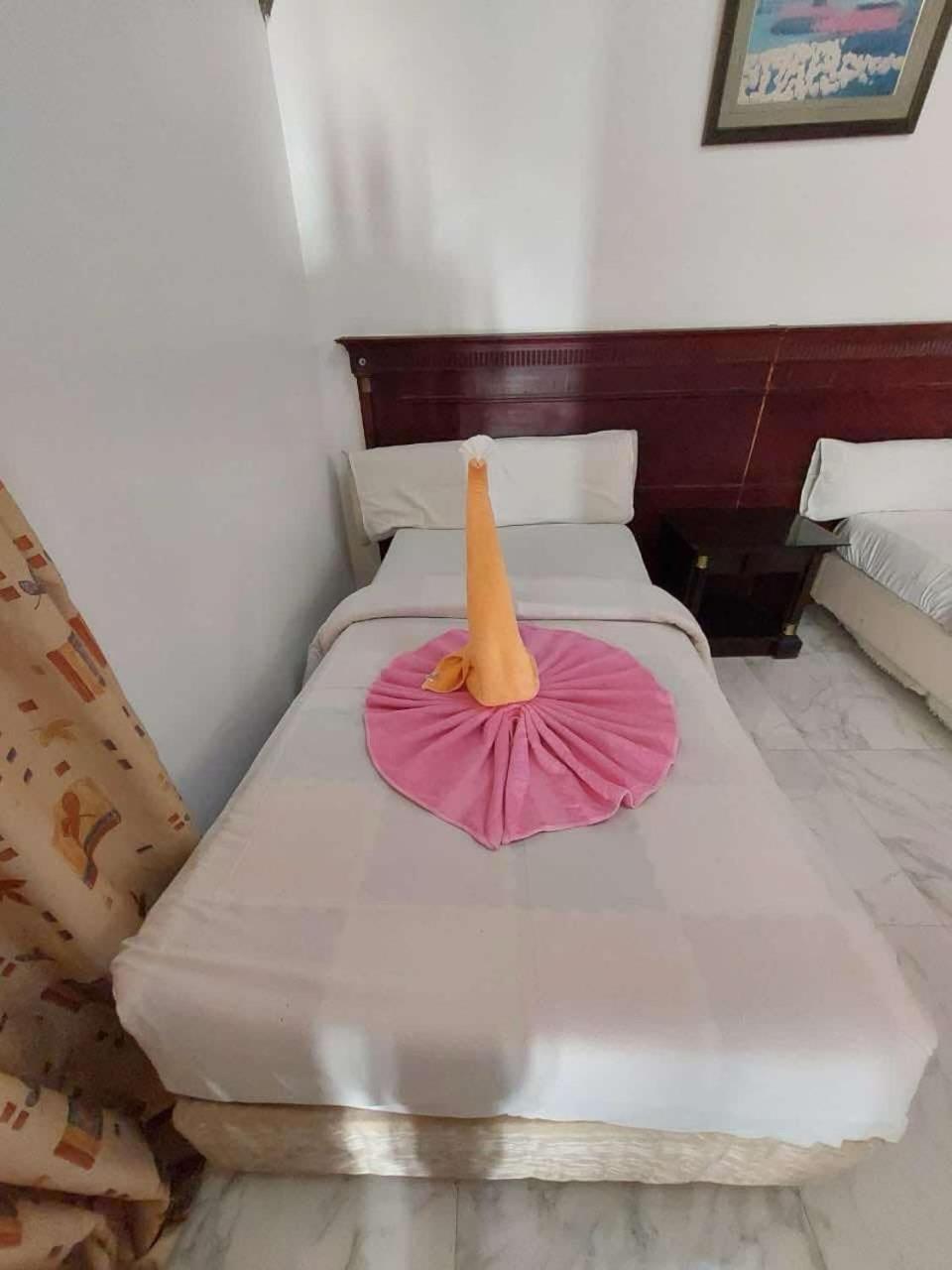 Eye of Horus House - Photo 67