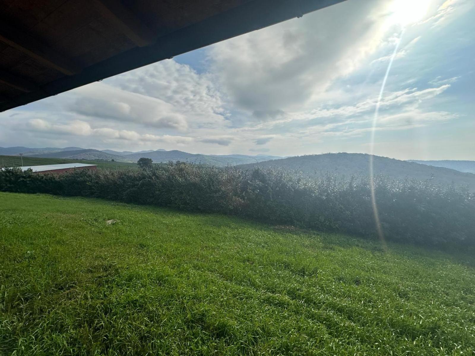 Hotel Tenuta dell'Argento Resort - Photo 39