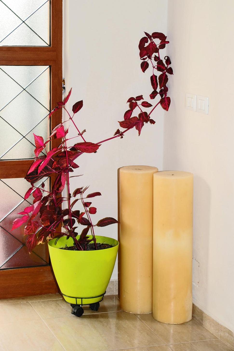 Great Alexander Suites - Photo 27