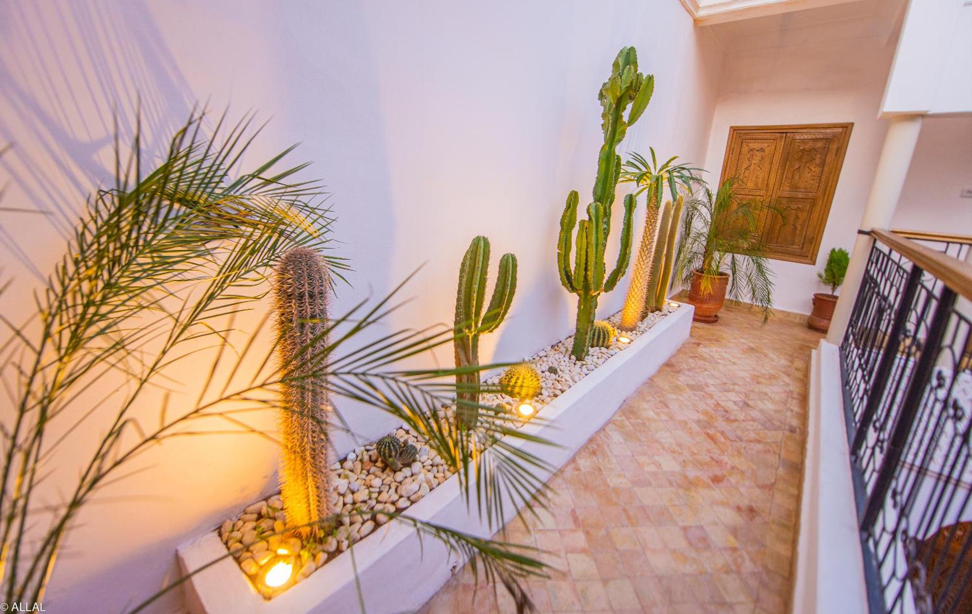 Riad Amskal - Photo 53