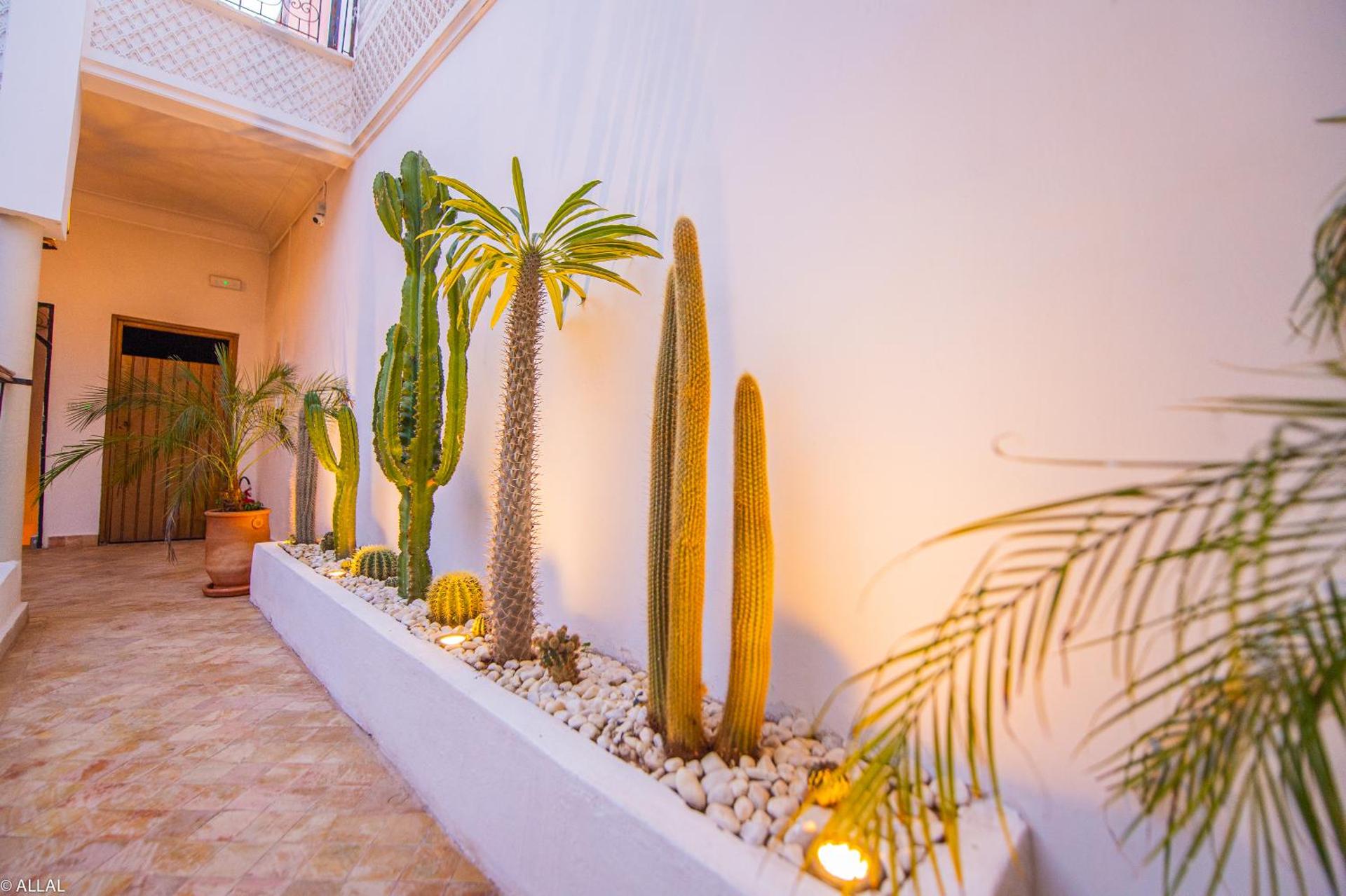 Riad Amskal - Photo 54