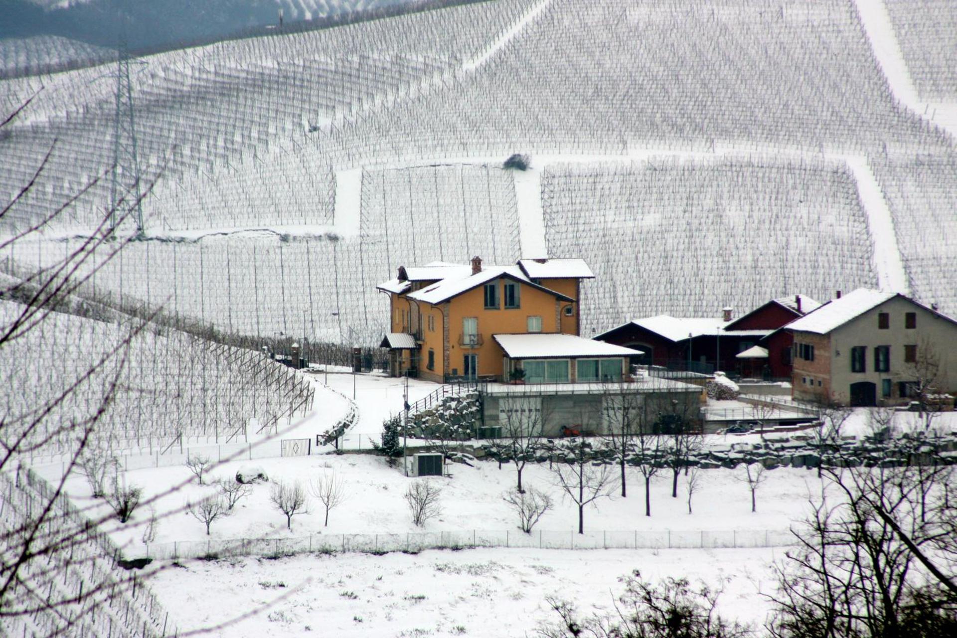 Mongalletto - Photo 41