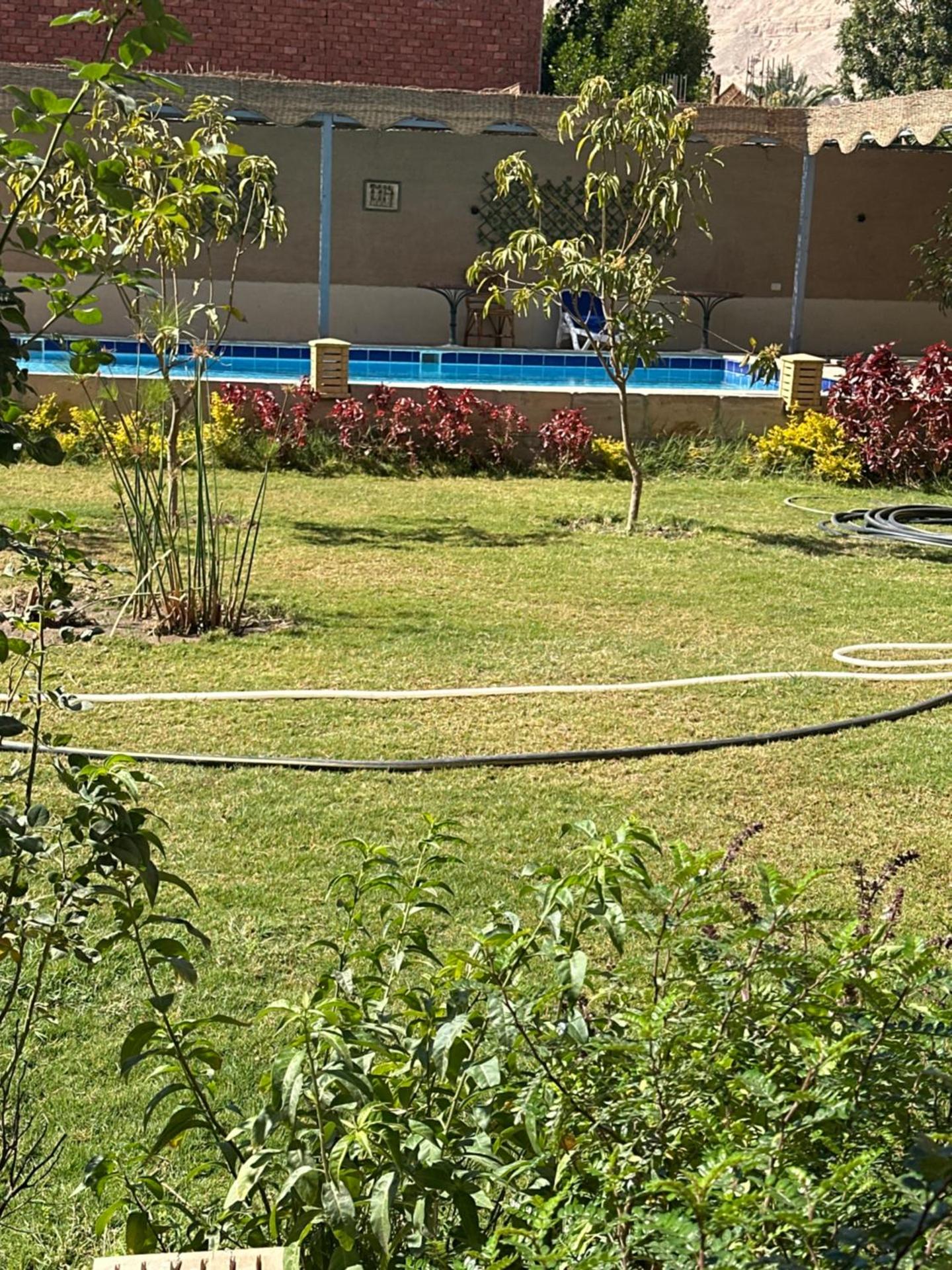 New Memnon Hotel - Photo 33