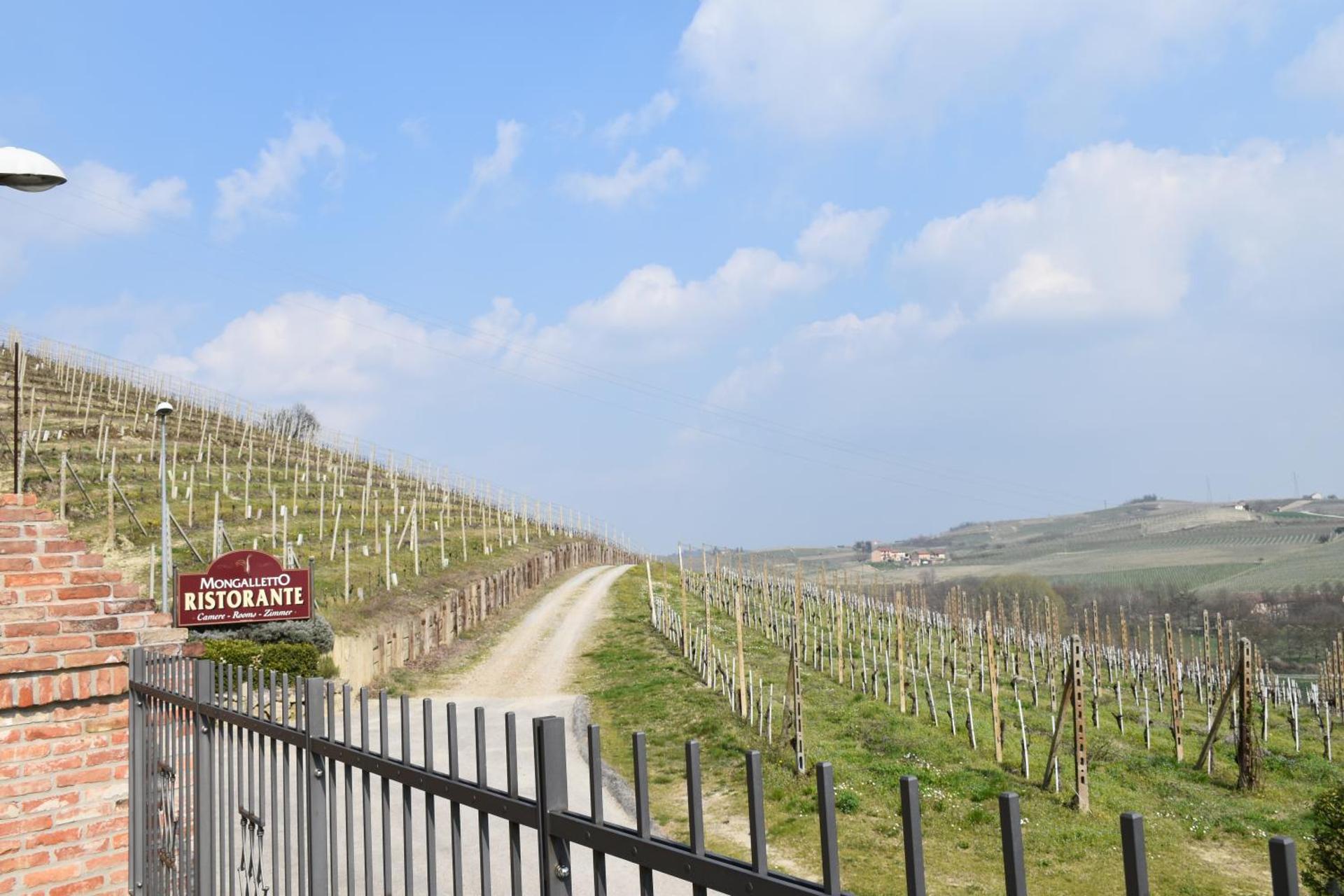 Mongalletto - Photo 30