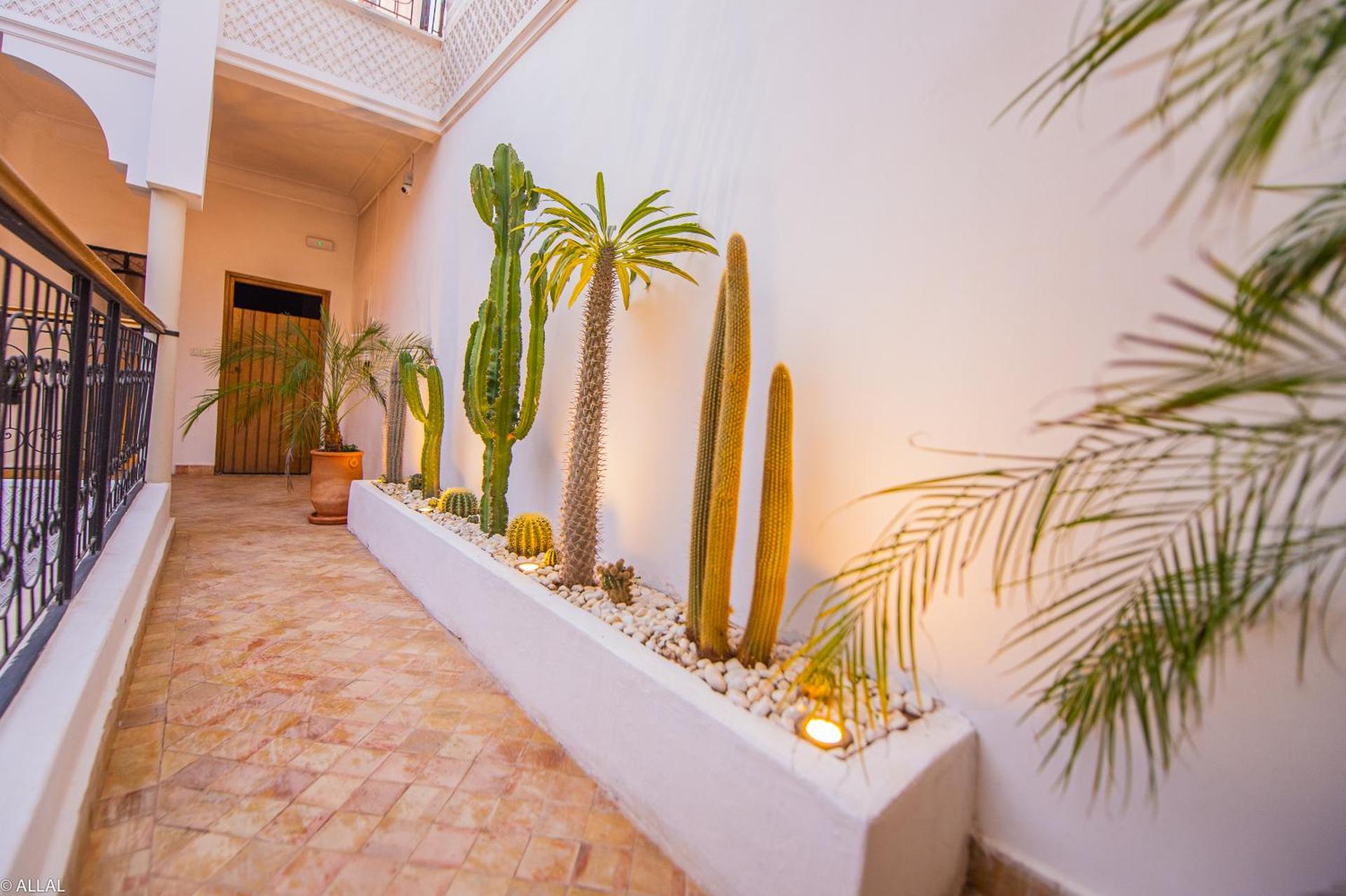 Riad Amskal - Photo 55