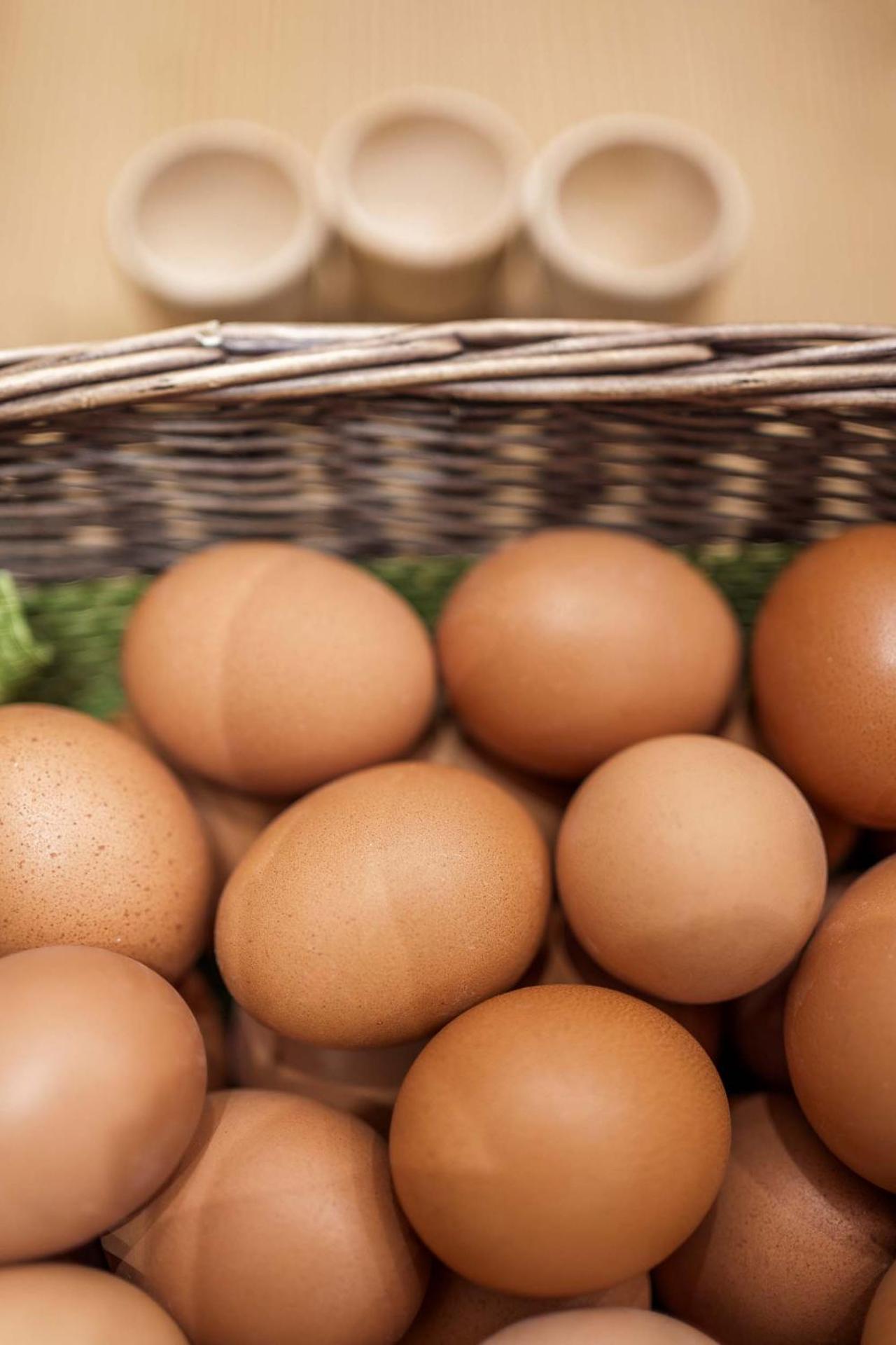 Hotel Olimpia - Photo 18