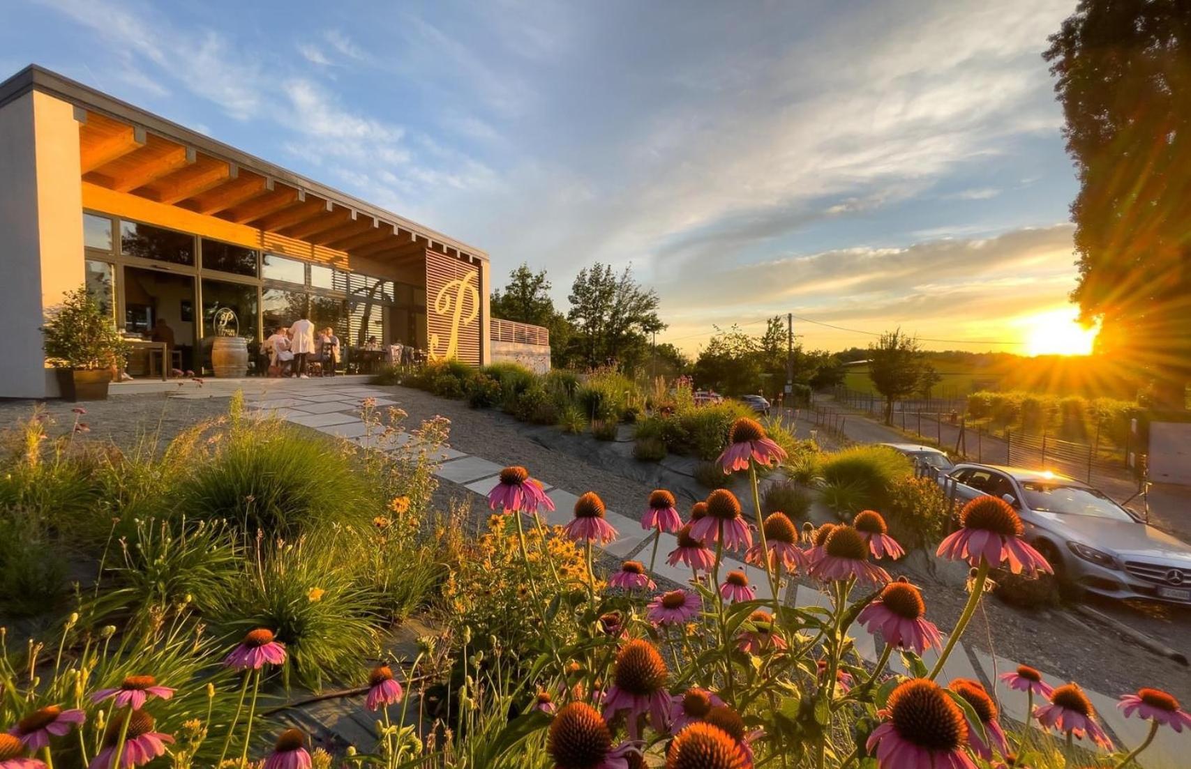 B&B Il Poggio di Gavi - Photo 4