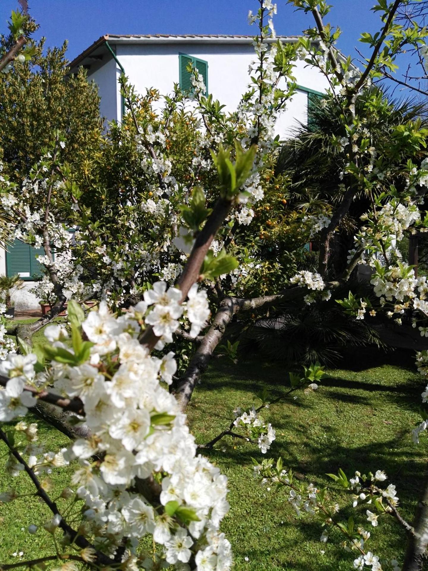 B&B Da Pio - Photo 65