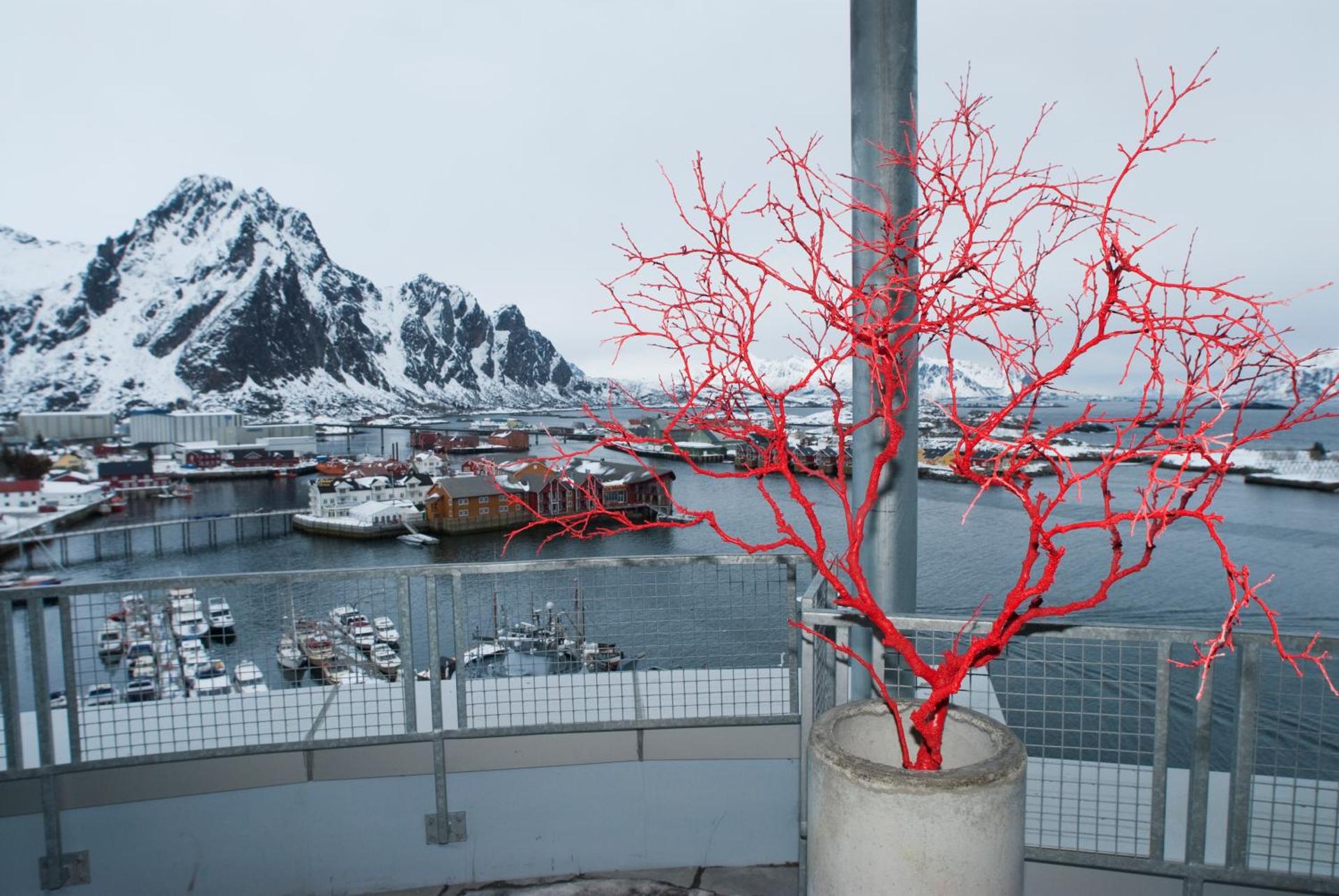 Thon Hotel Lofoten - Photo 26