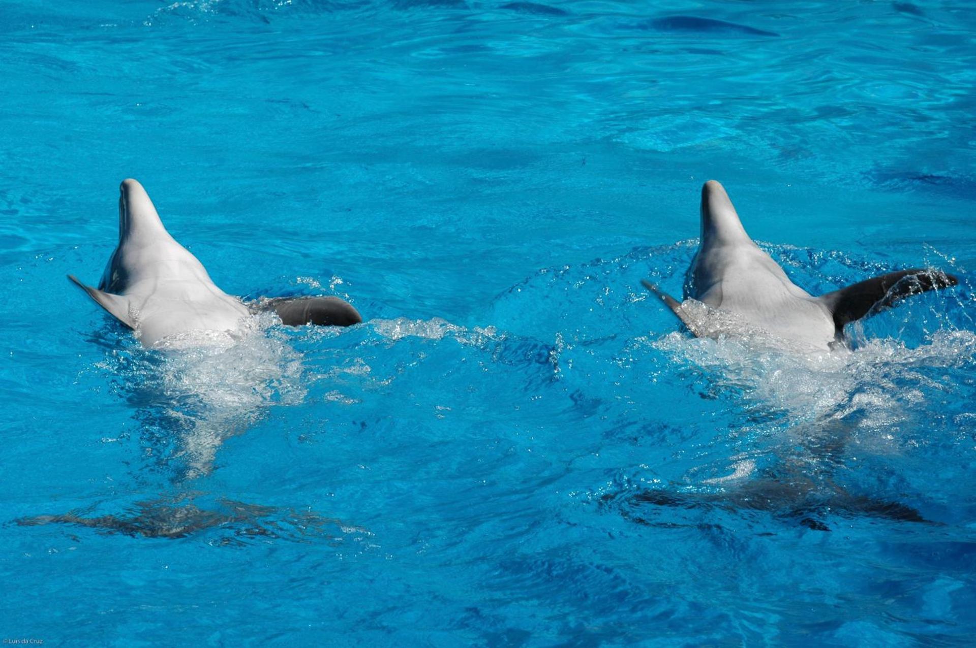 Kimpton Atlantico Algarve by IHG - Photo 34