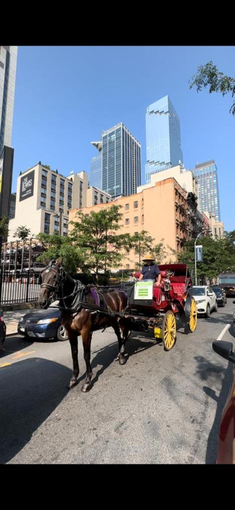 AL Shami 408 - Photo 18