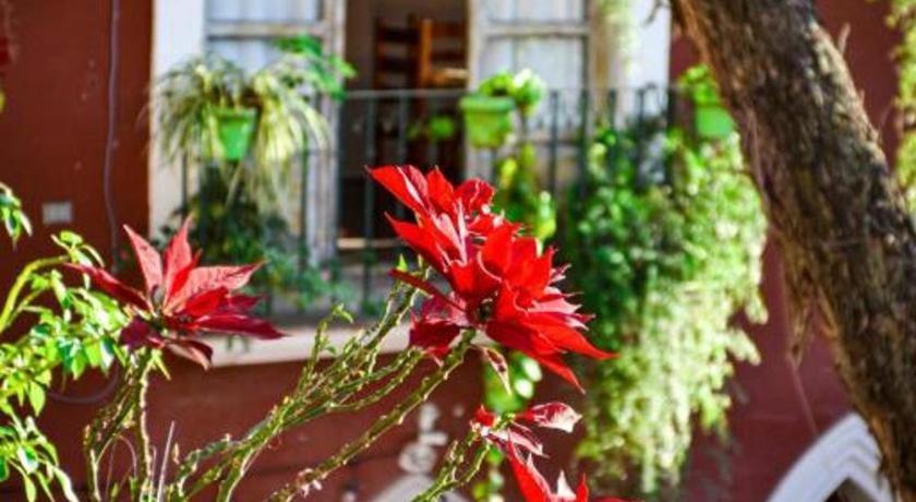 HOTEL ANA CATALINA & SUITES - Photo 23