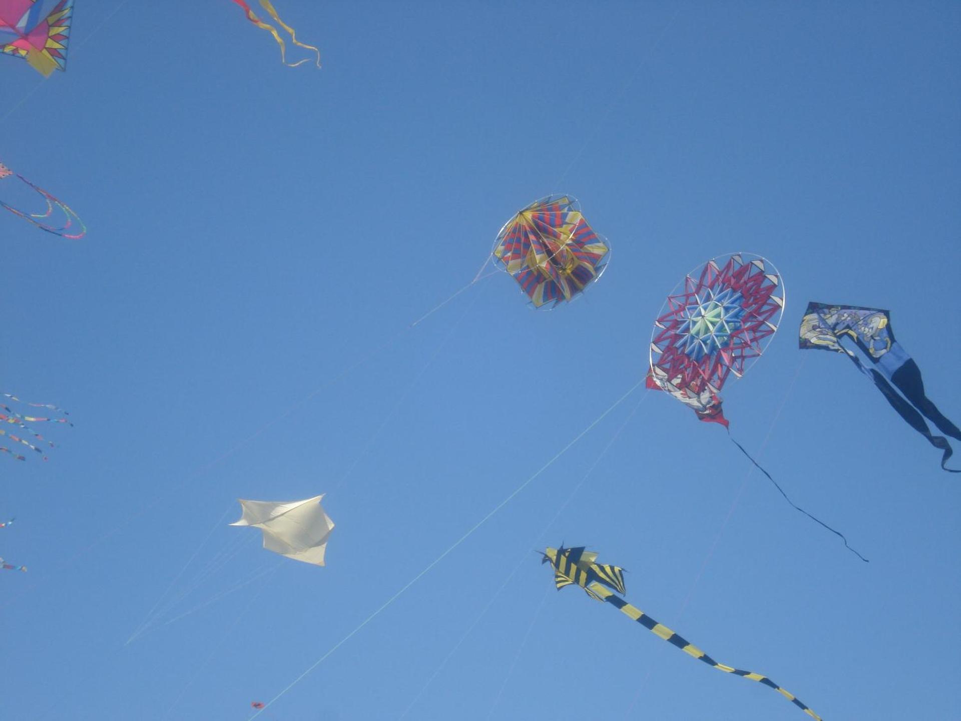 La LUNA of MARSEILLE - VILLA D'ARCHITECTE B&B - Photo 20