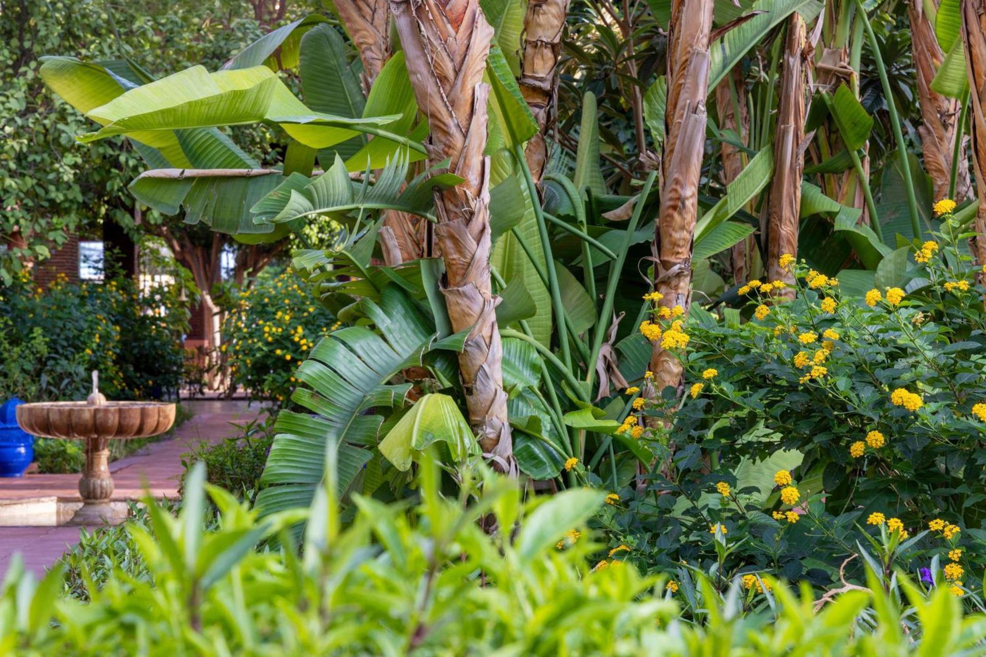 Le Meridien N'fis - Photo 25