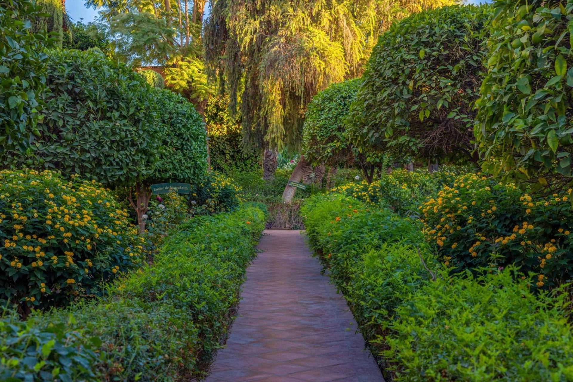 Le Meridien N'fis - Photo 23