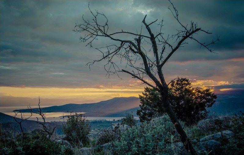 Arion Hotel - Photo 14