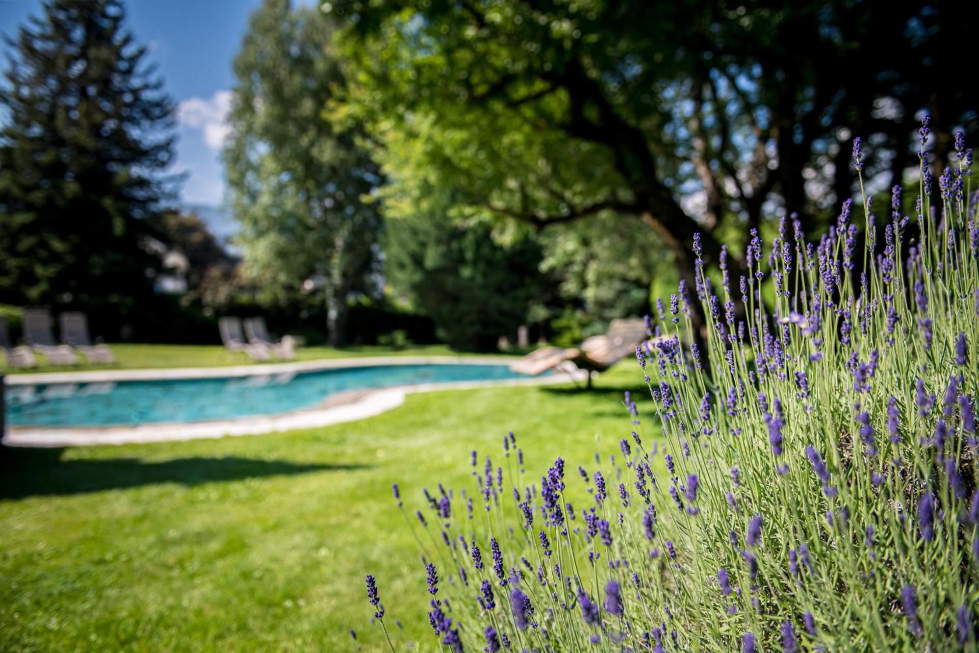 Hotel ANDER - Photo 17