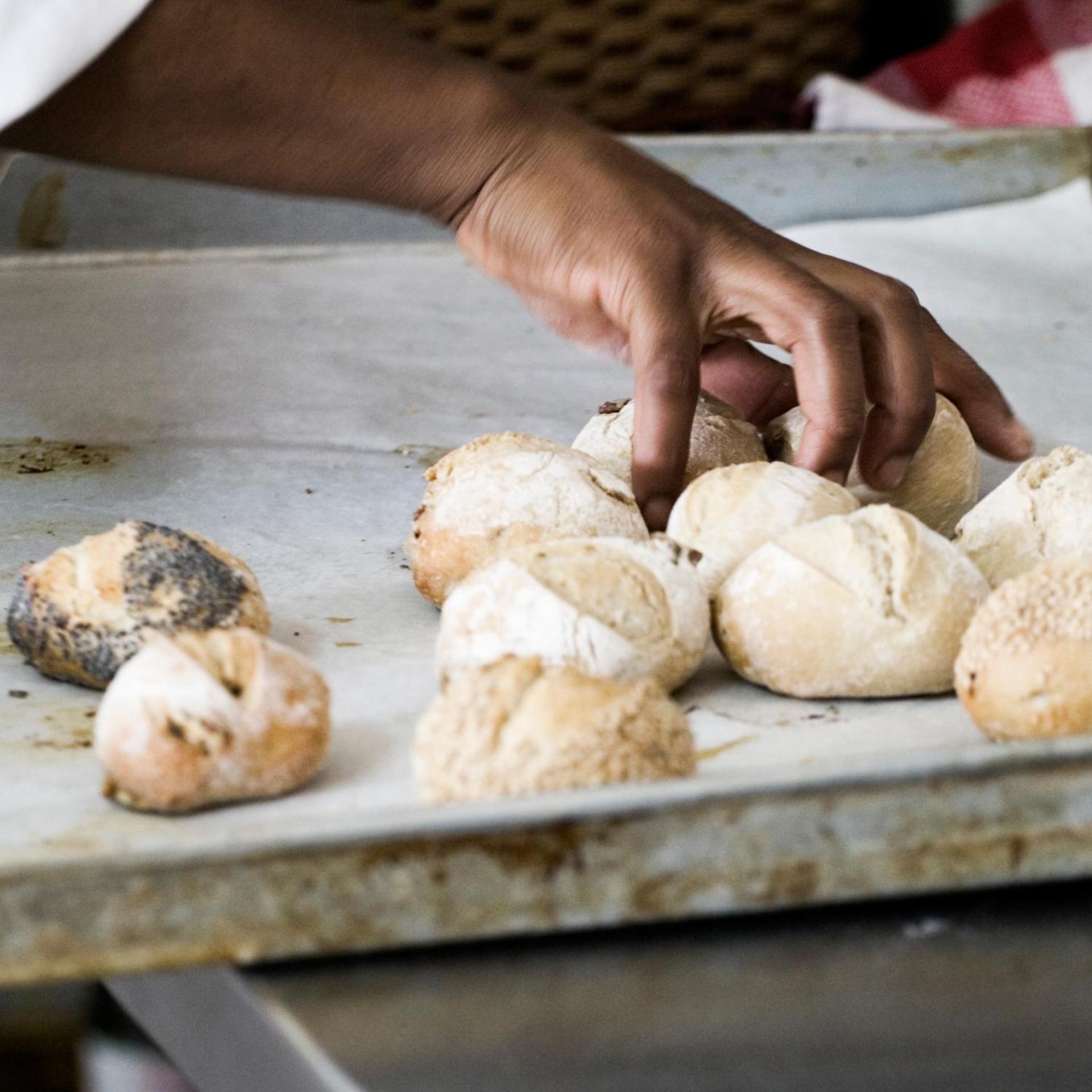 Les Deux Tours - Photo 104