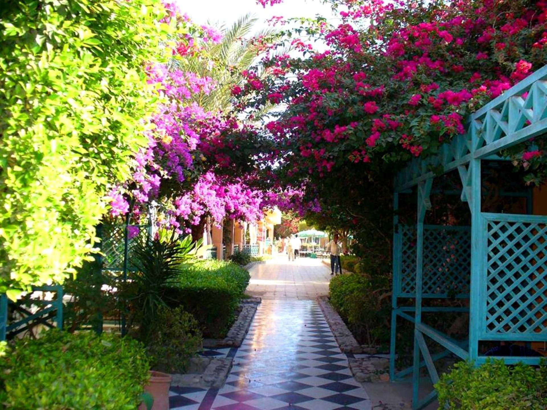 Giftun Azur Resort - Photo 2