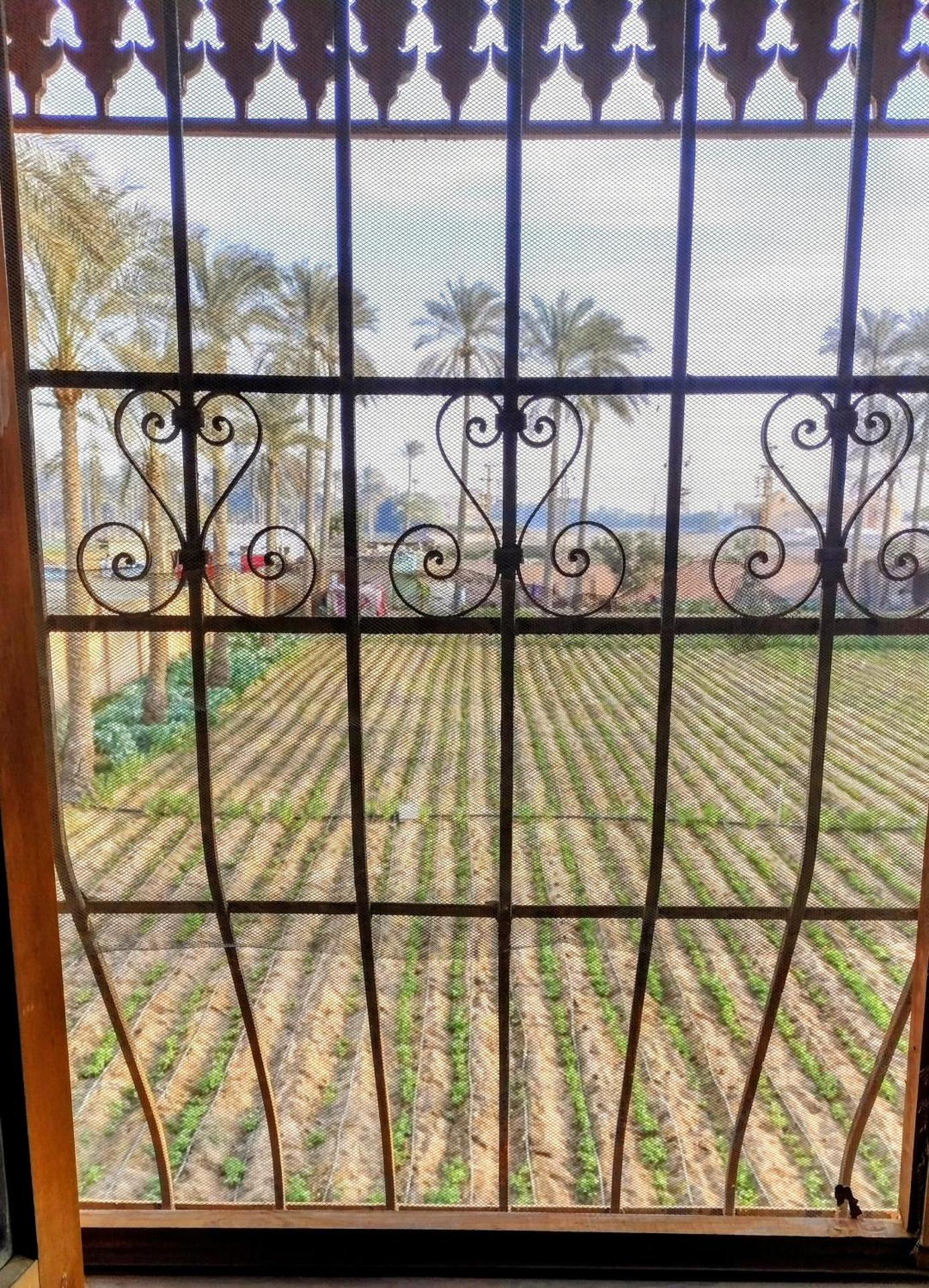 Alf Layla Resort - Photo 24