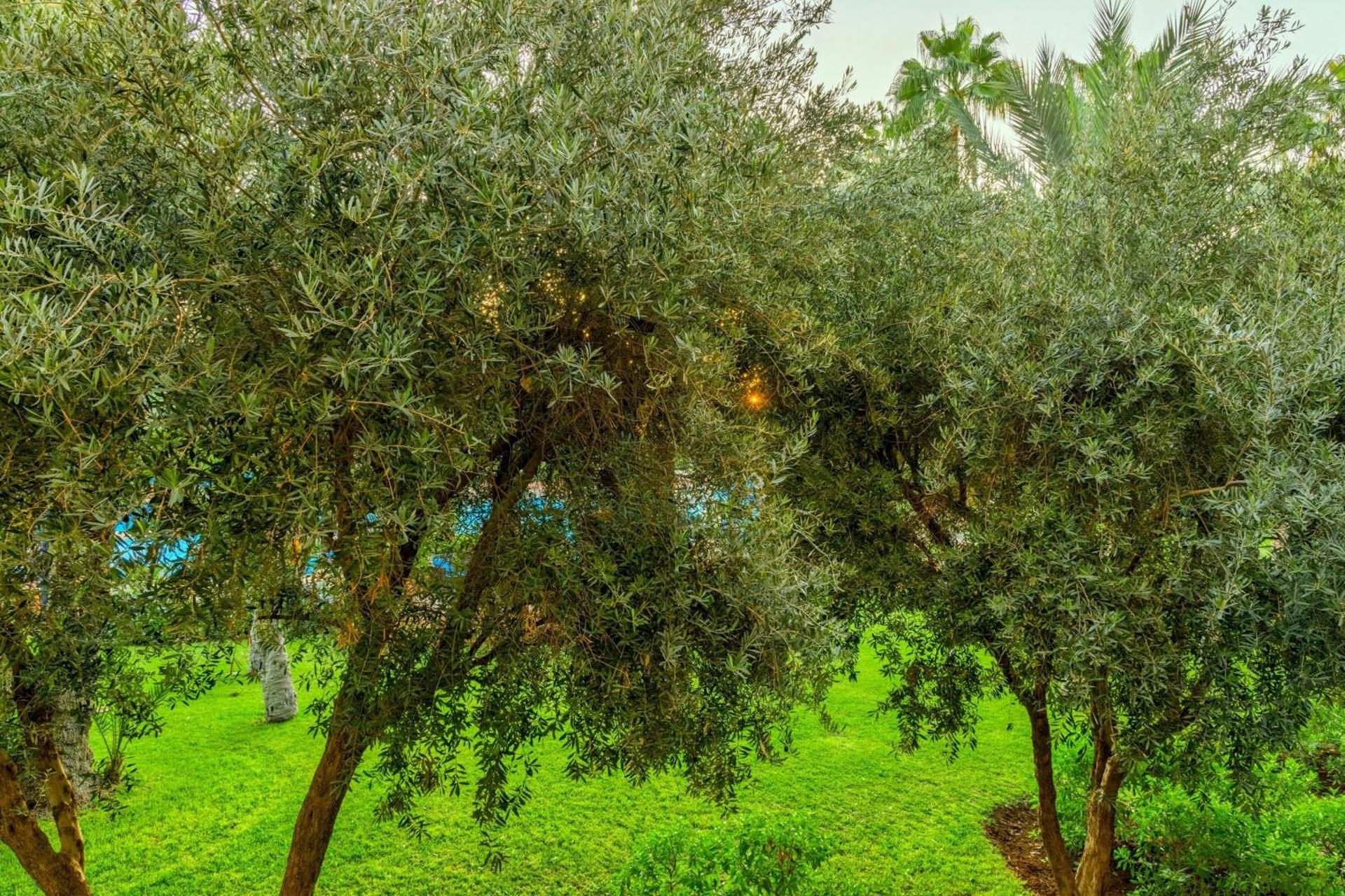 Le Meridien N'fis - Photo 65